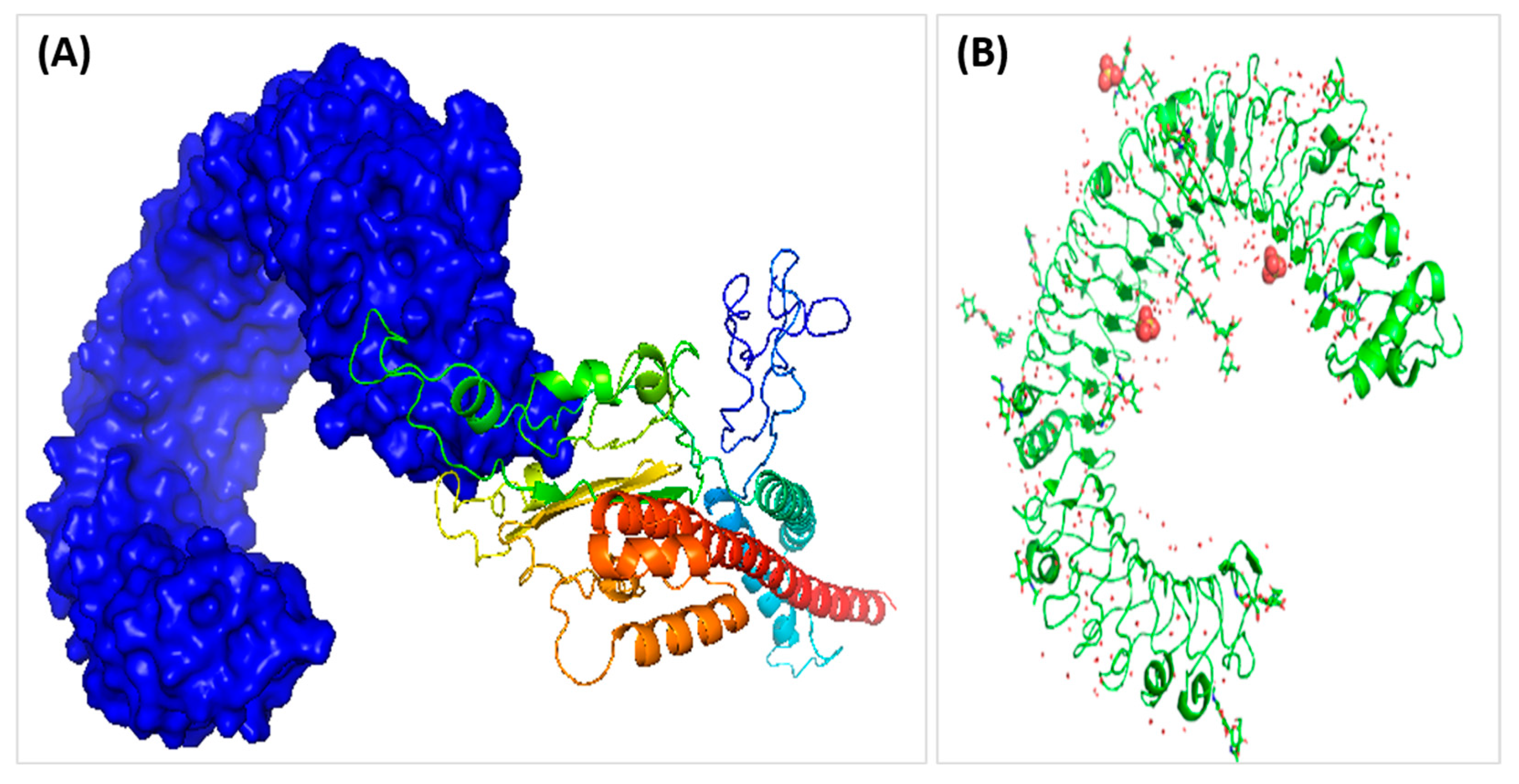 Medicina 58 01356 g004 Medicina 58 01356 g004