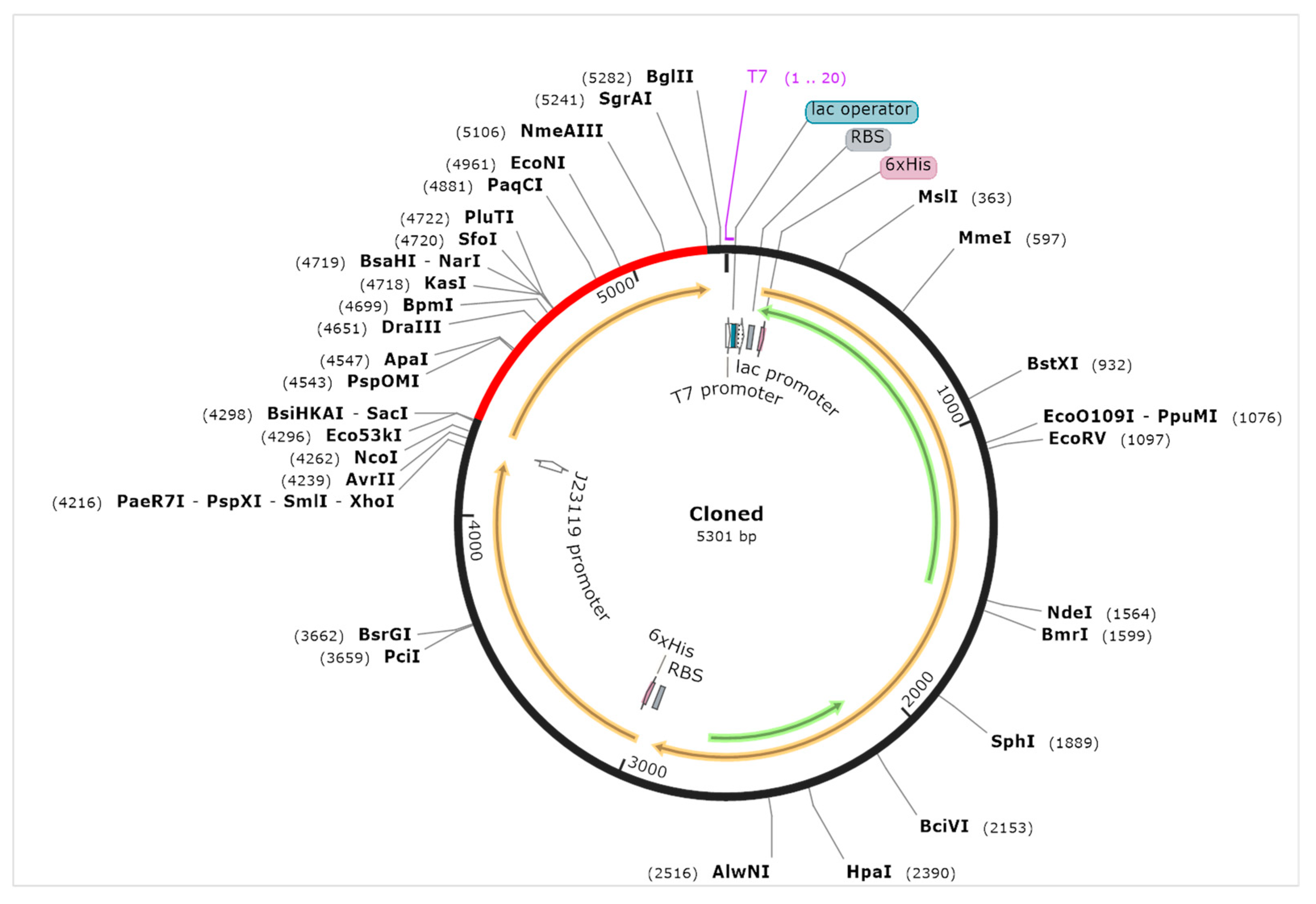 Medicina 58 01356 g005 Medicina 58 01356 g005