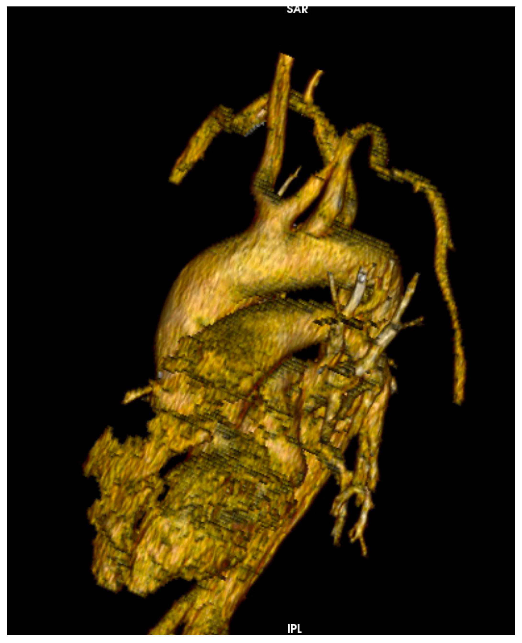 Medicina 58 01357 g003 Medicina 58 01357 g003