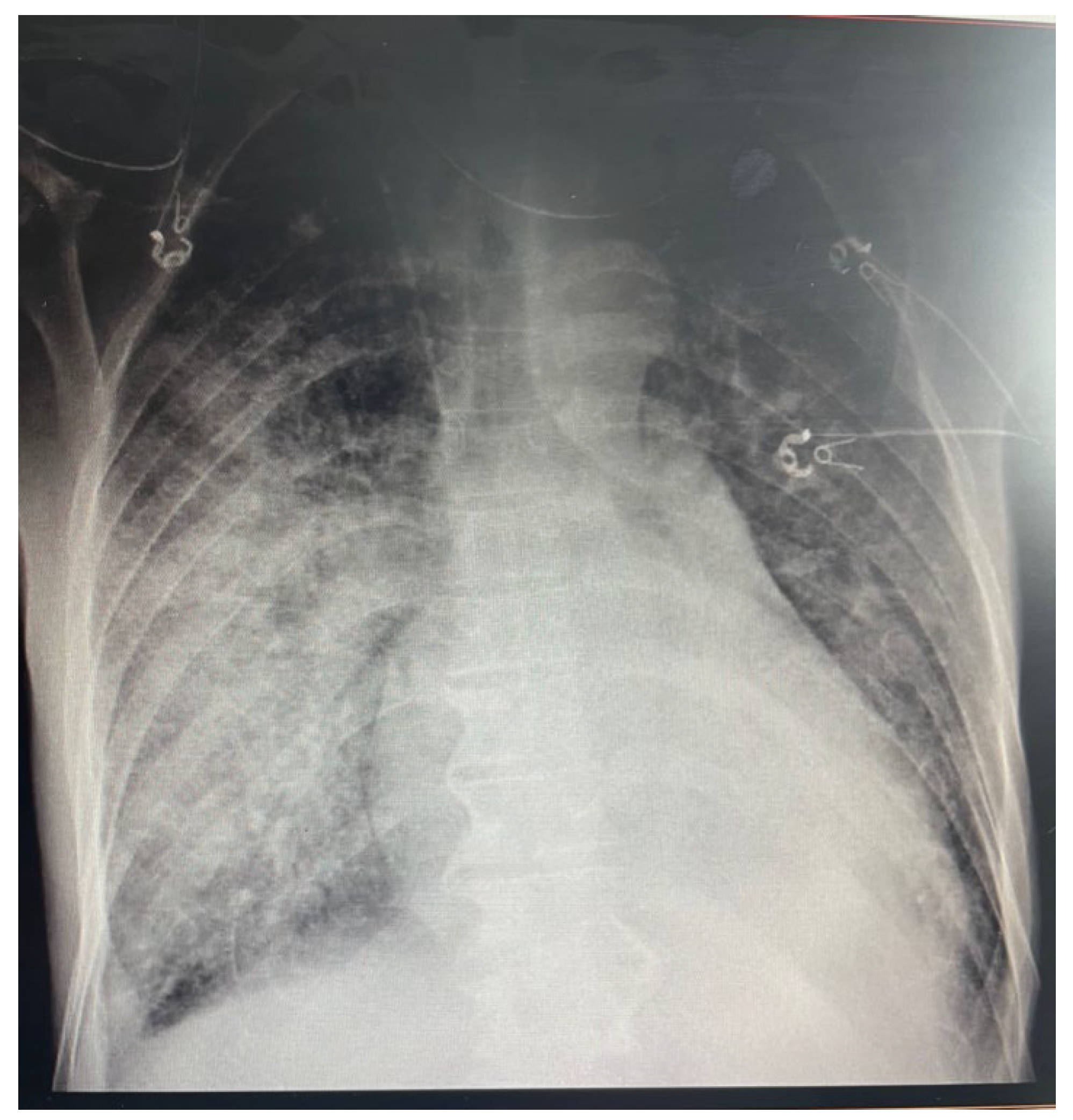 Medicina 58 01357 g007 Medicina 58 01357 g007