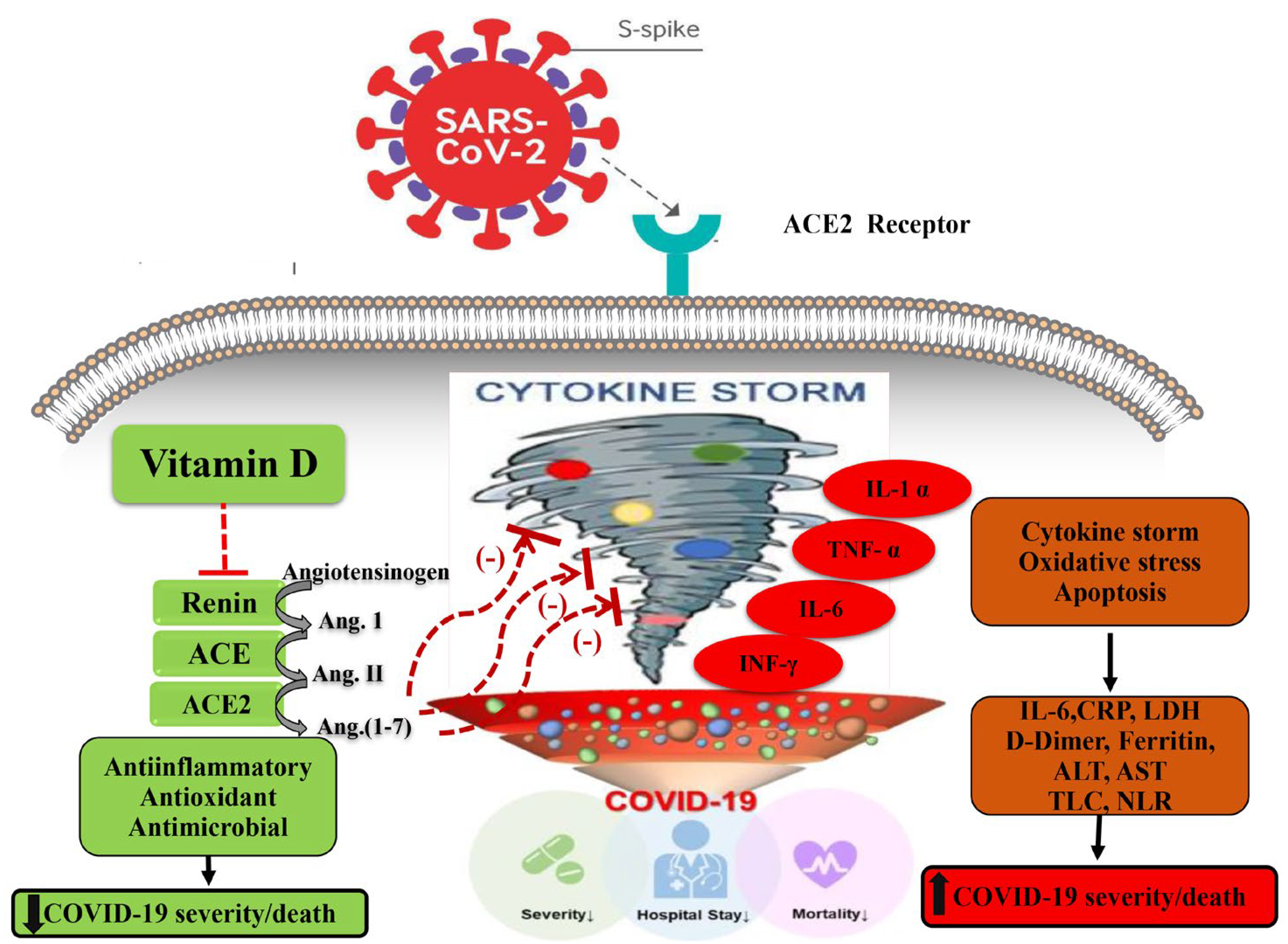 Medicina 58 01358 g001