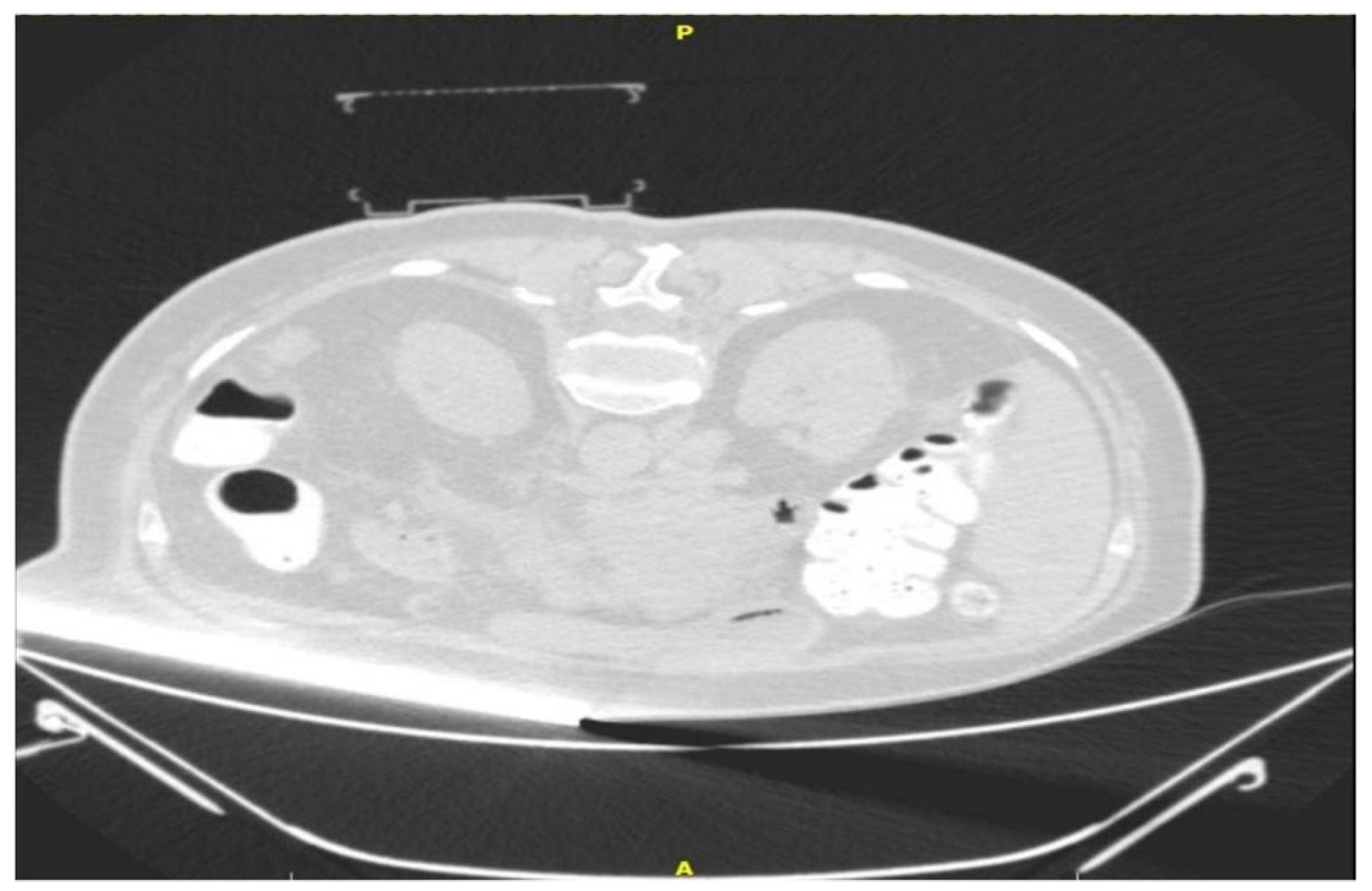 Medicina 58 01359 g002 550
