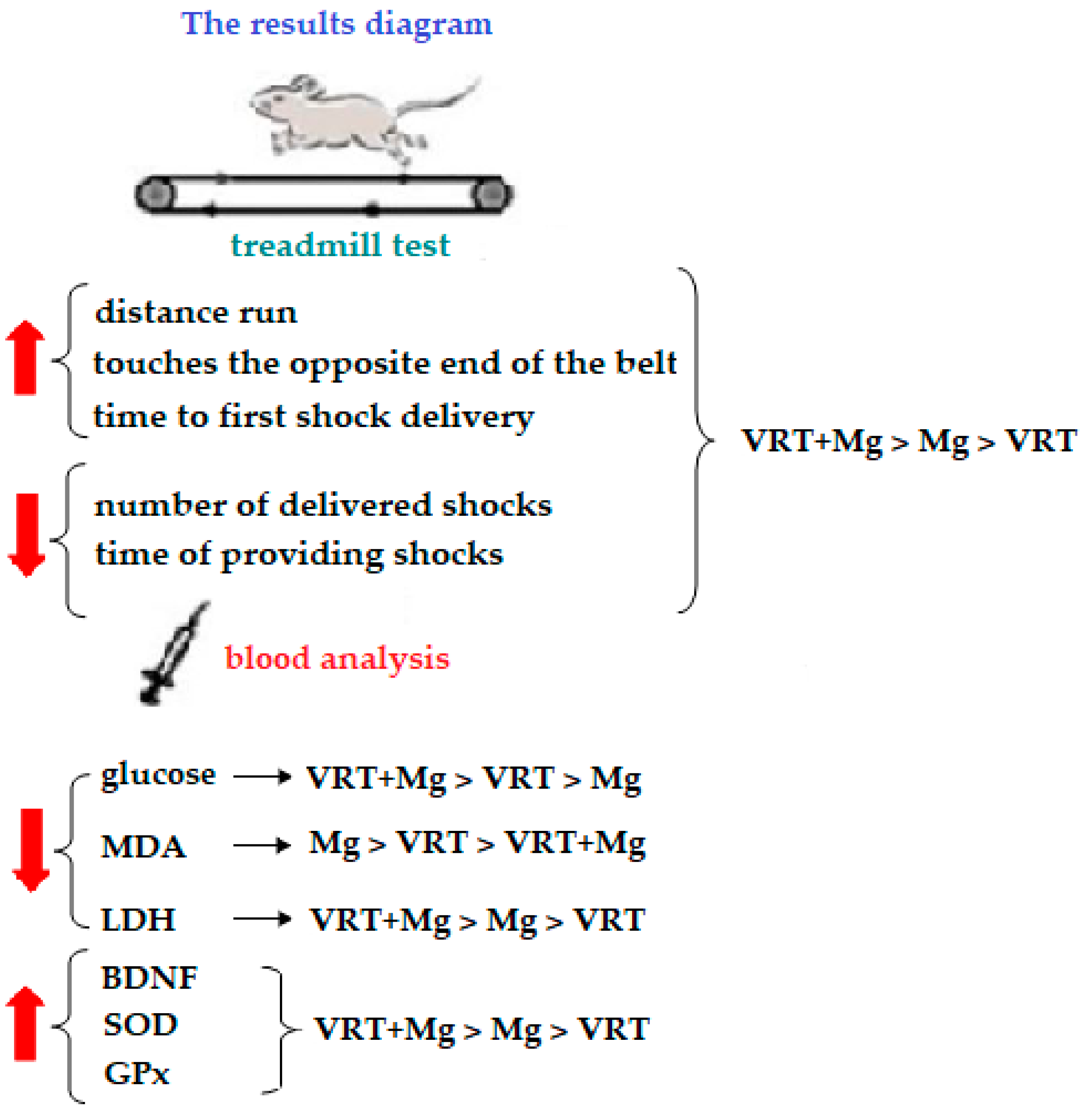 Medicina 58 01363 g004 Medicina 58 01363 g004
