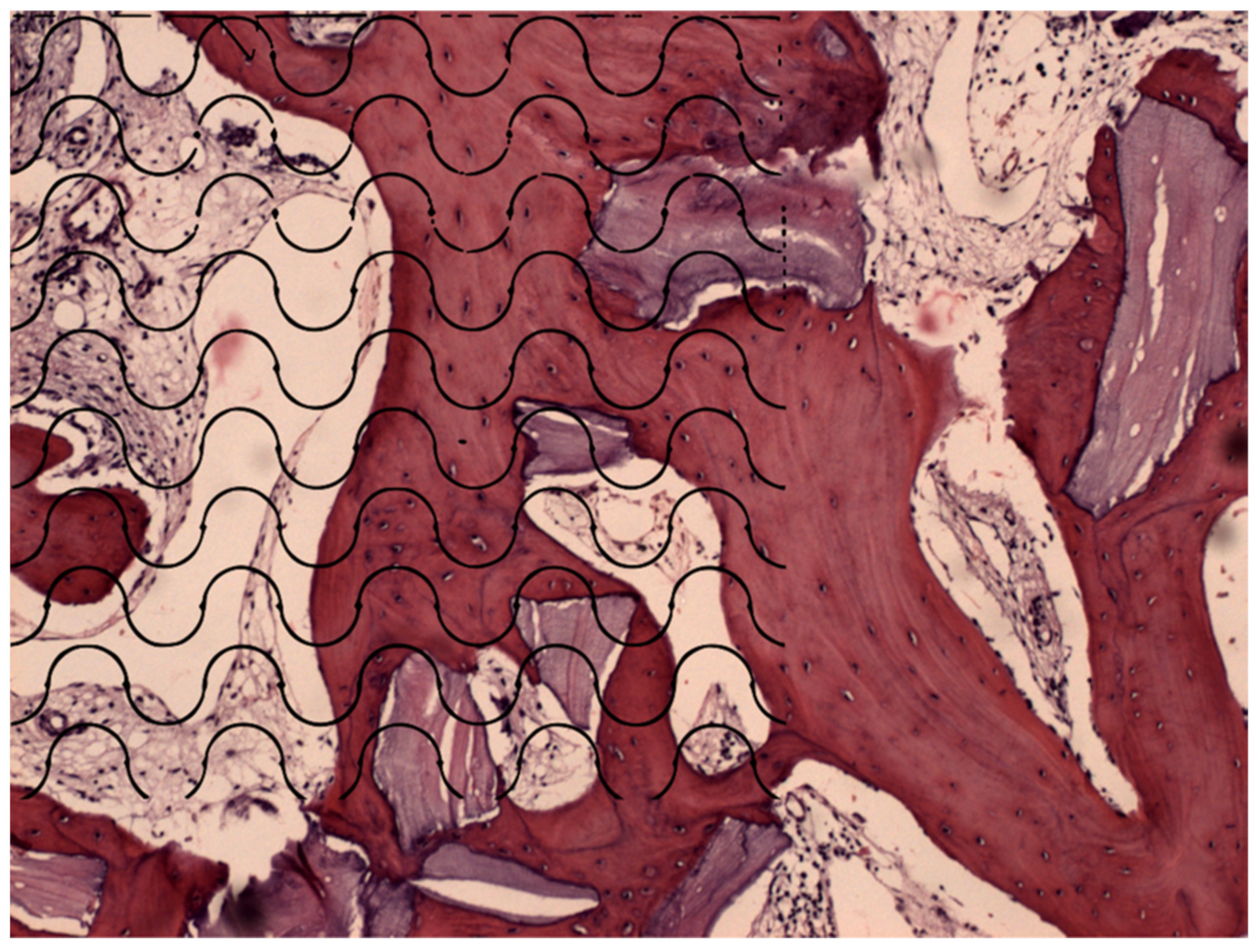 Medicina 58 01364 g001