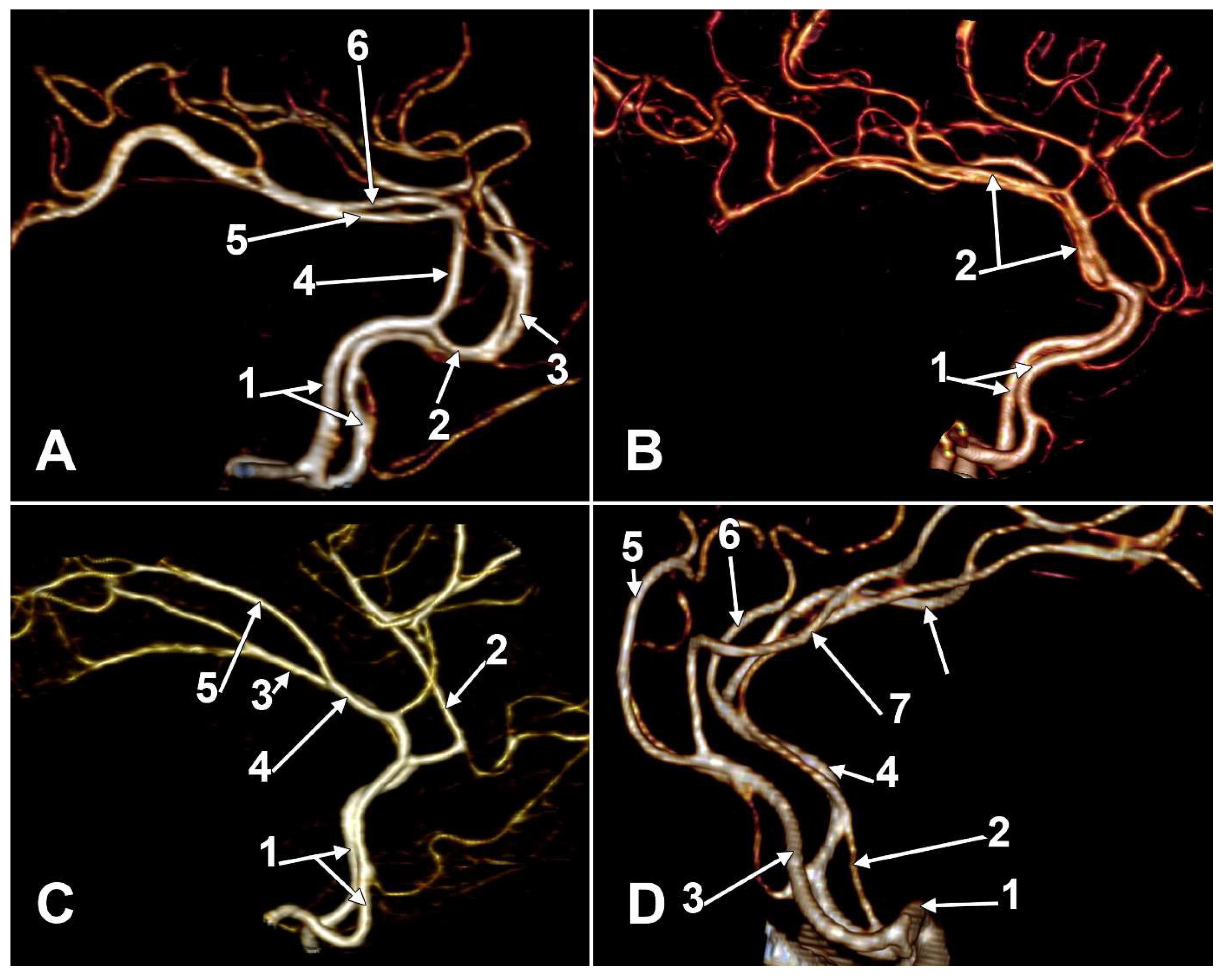 Medicina 58 01365 g004