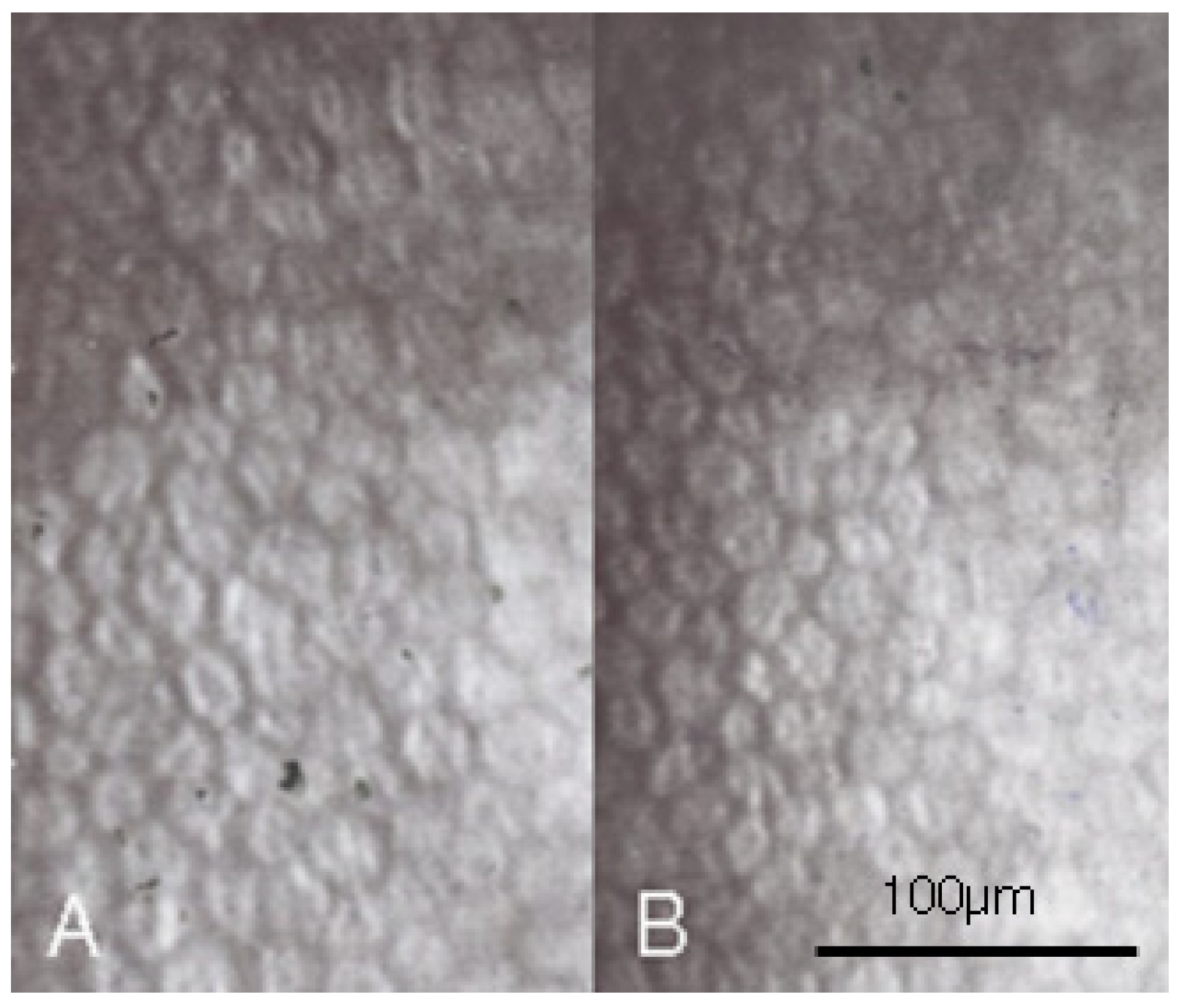 Medicina 58 01367 g001