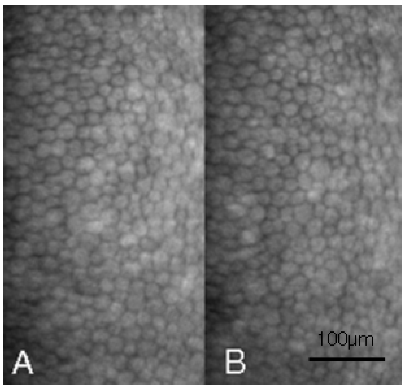 Medicina 58 01367 g002