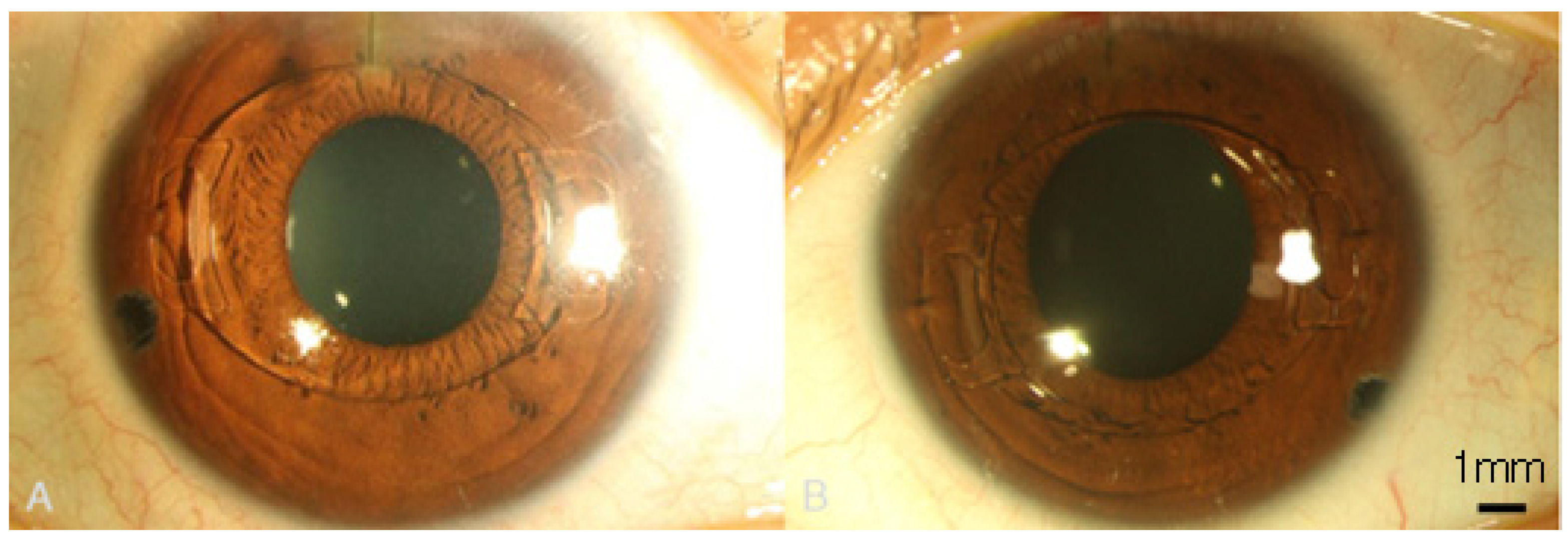 Medicina 58 01367 g003