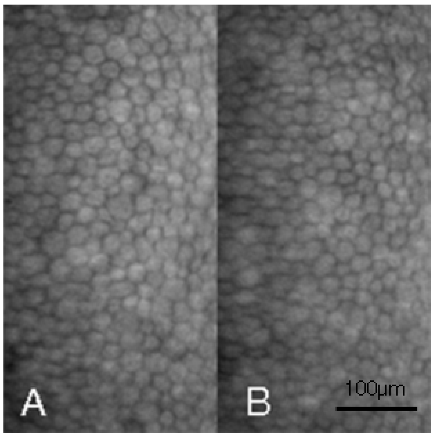 Medicina 58 01367 g004