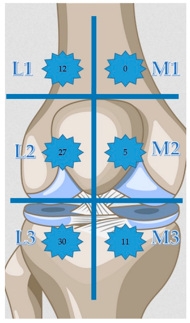 Medicina 58 01369 g001