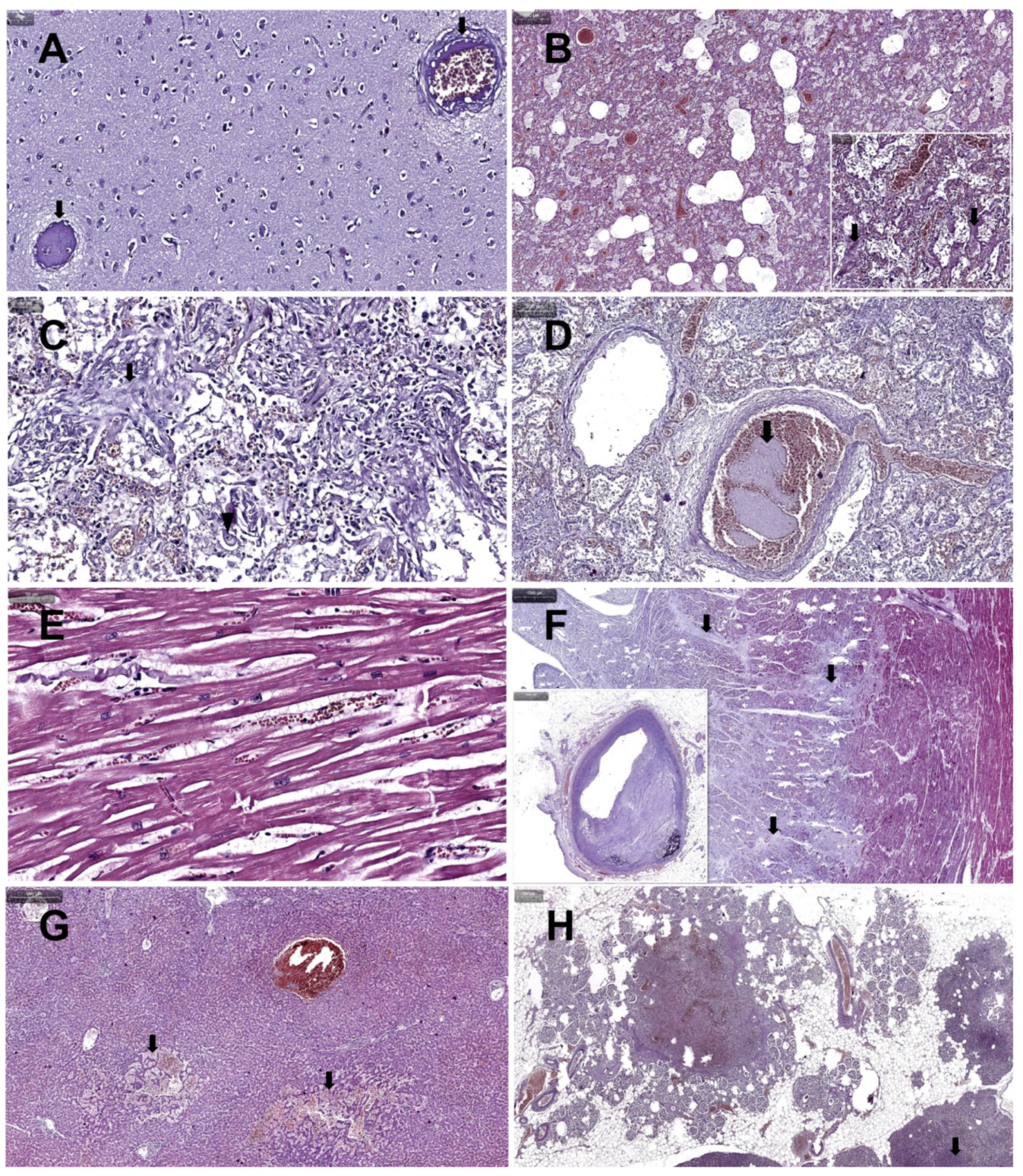 Medicina 58 01373 g002