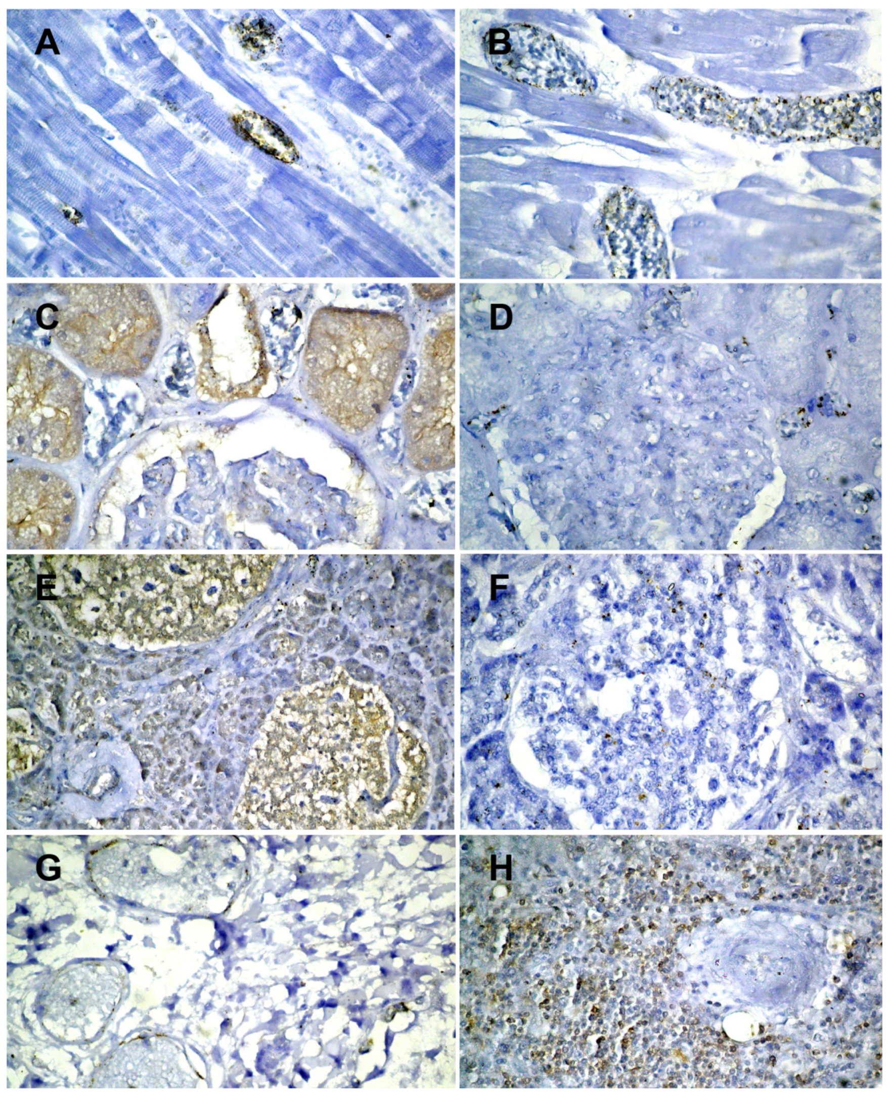 Medicina 58 01373 g003a