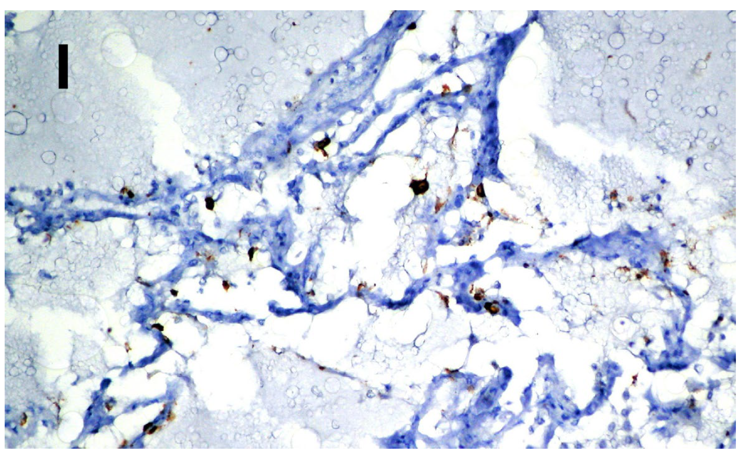 Medicina 58 01373 g003b