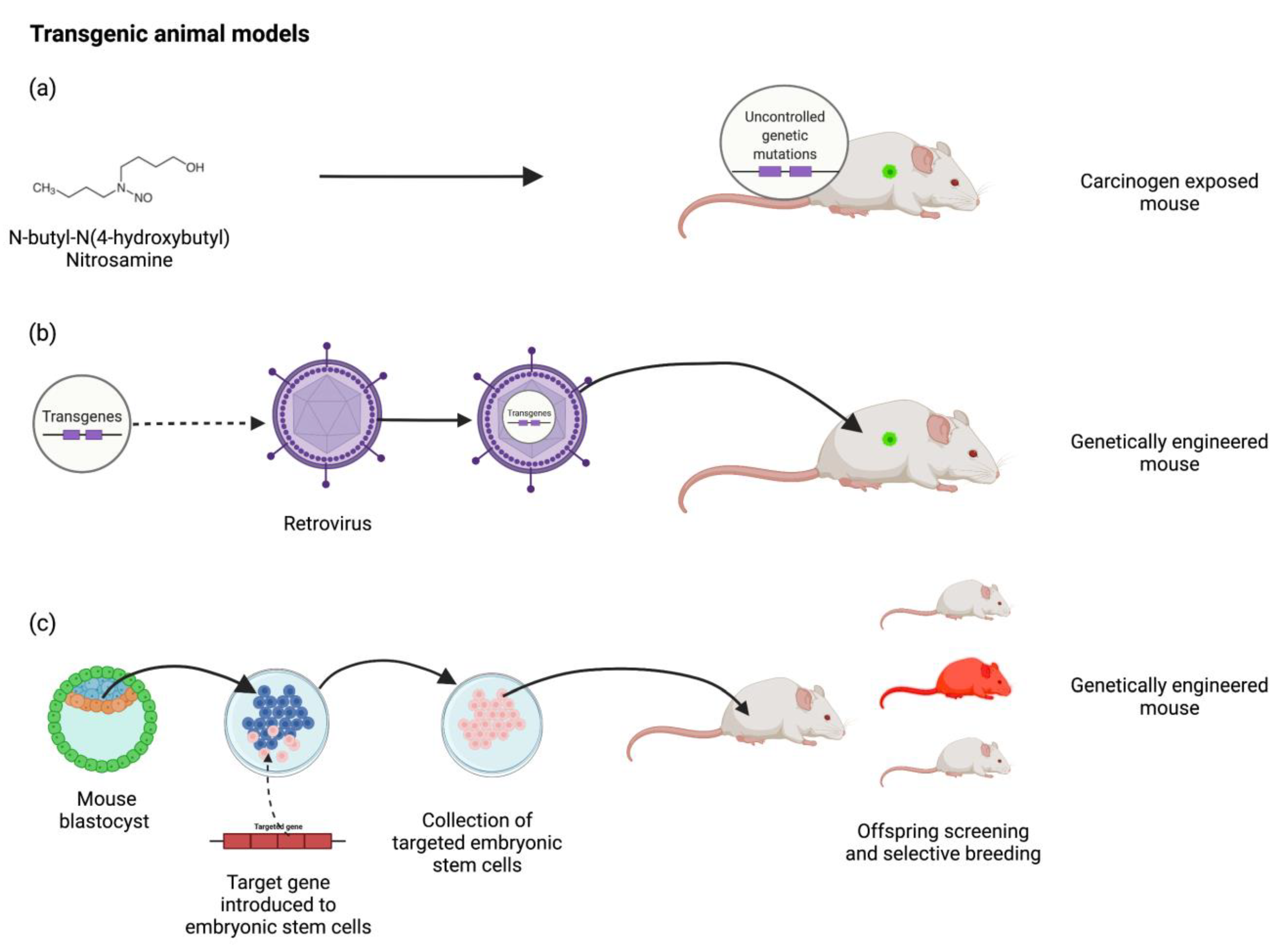Medicina 58 01380 g002