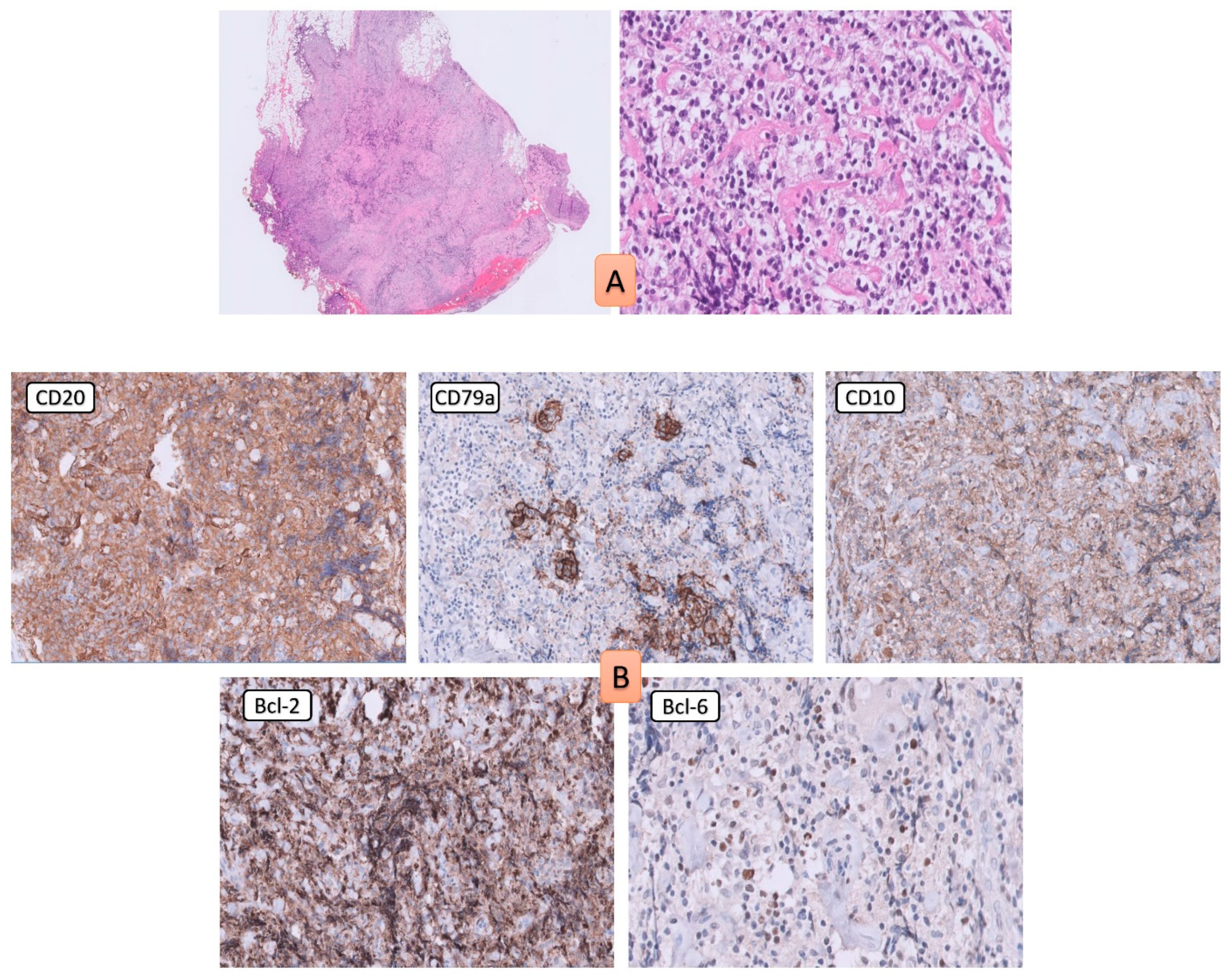 Medicina 58 01381 g003