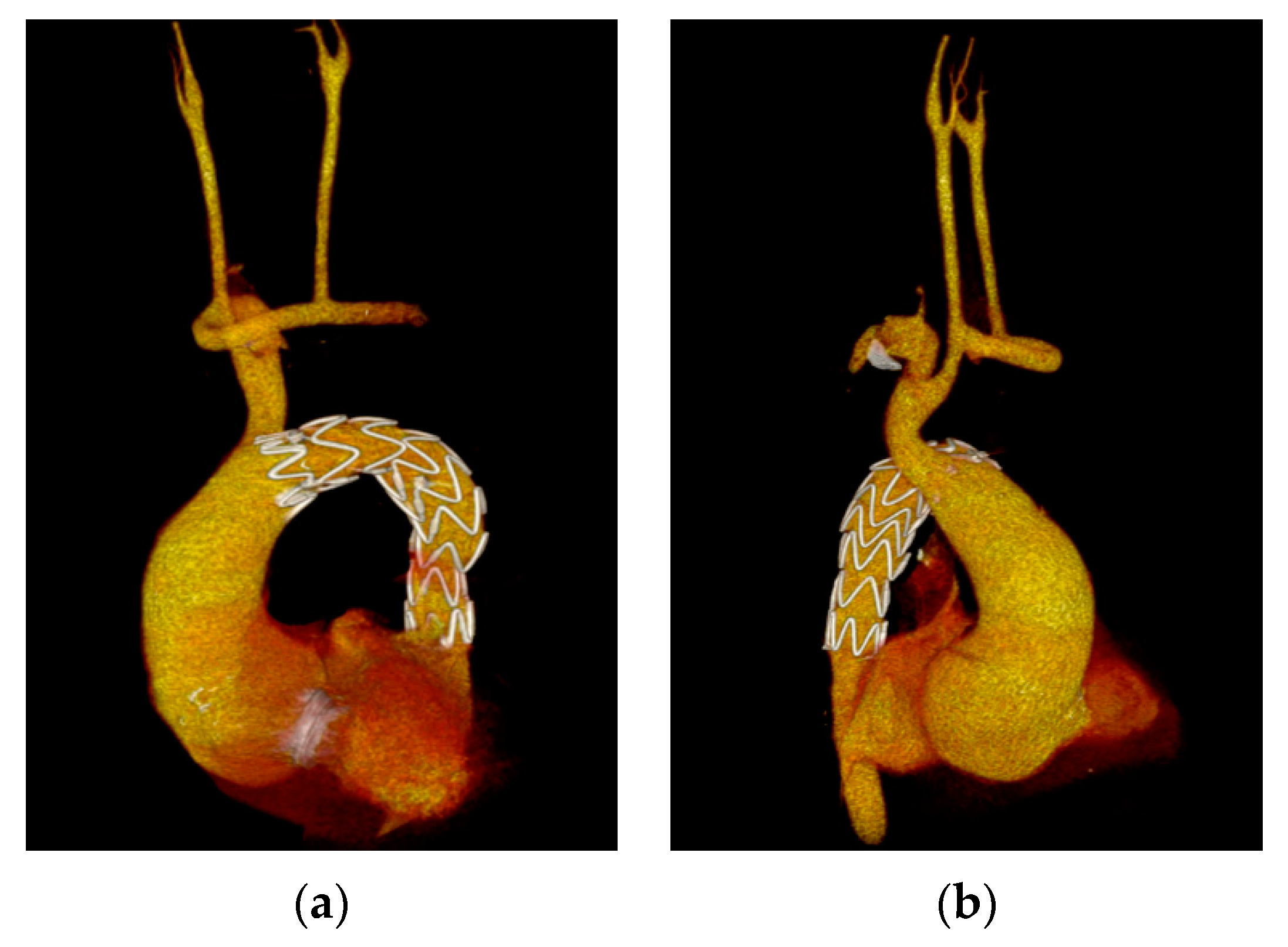 Medicina 58 01385 g002
