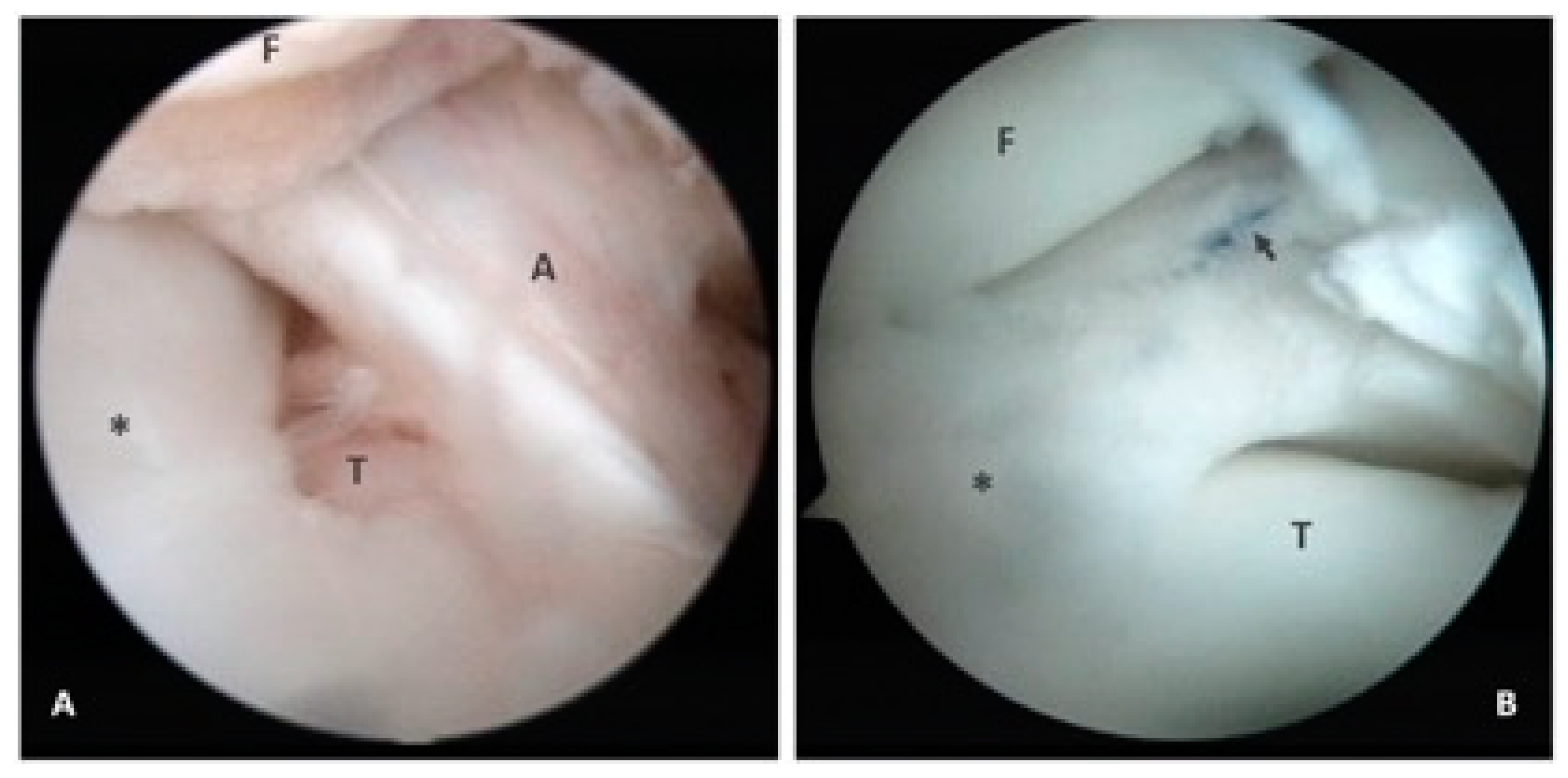 Medicina 58 01403 g002