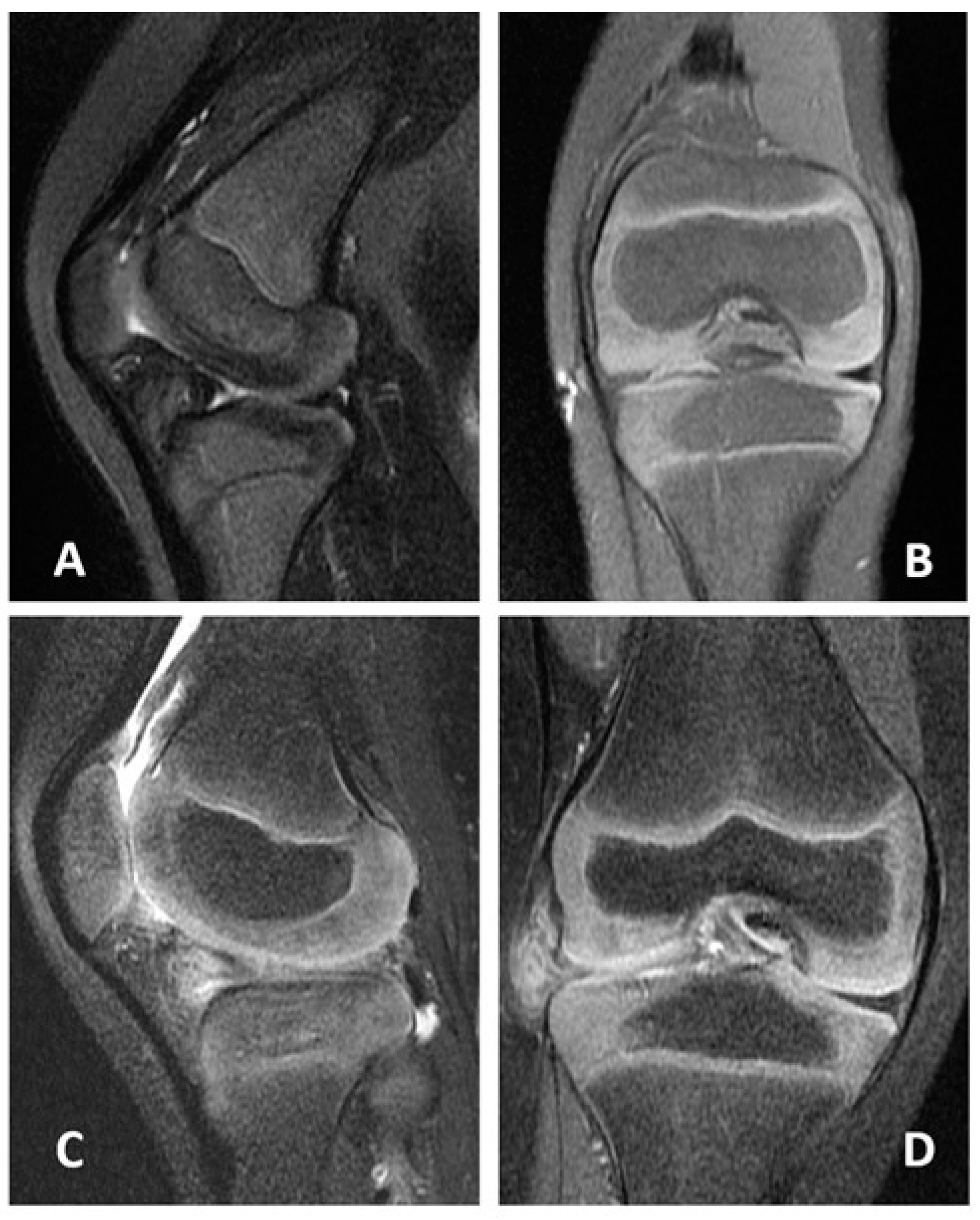 Medicina 58 01403 g003