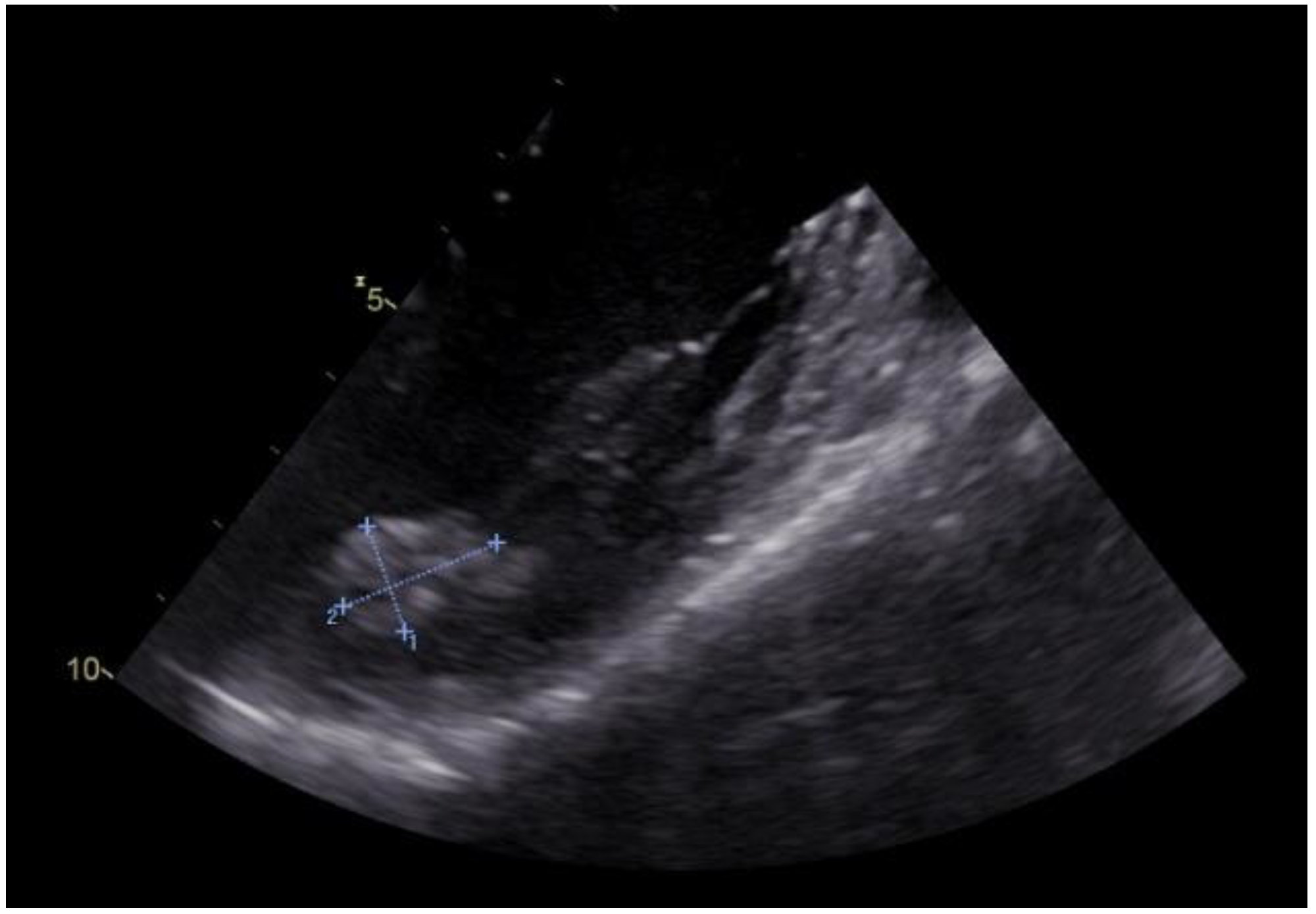 Medicina 58 01404 g001