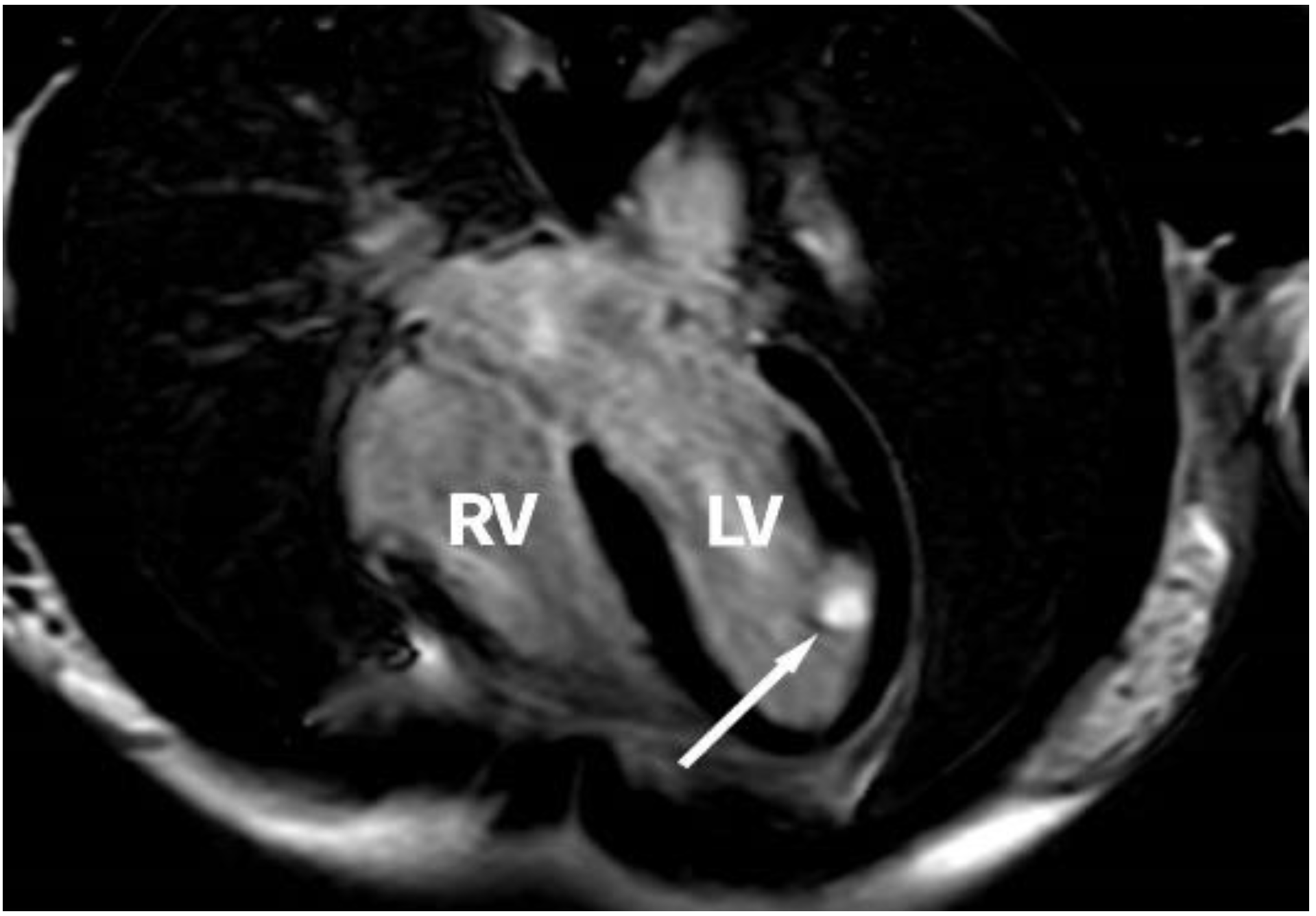 Medicina 58 01404 g002