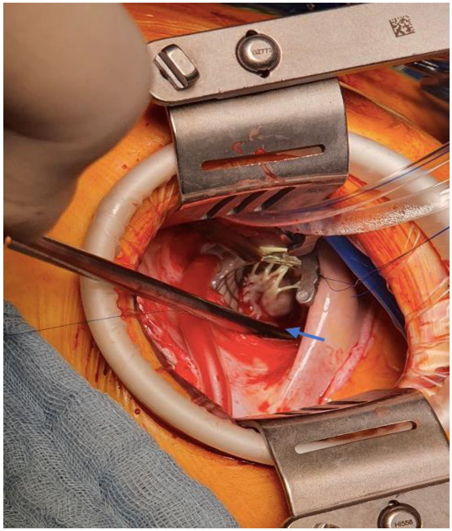 Medicina 58 01404 g003