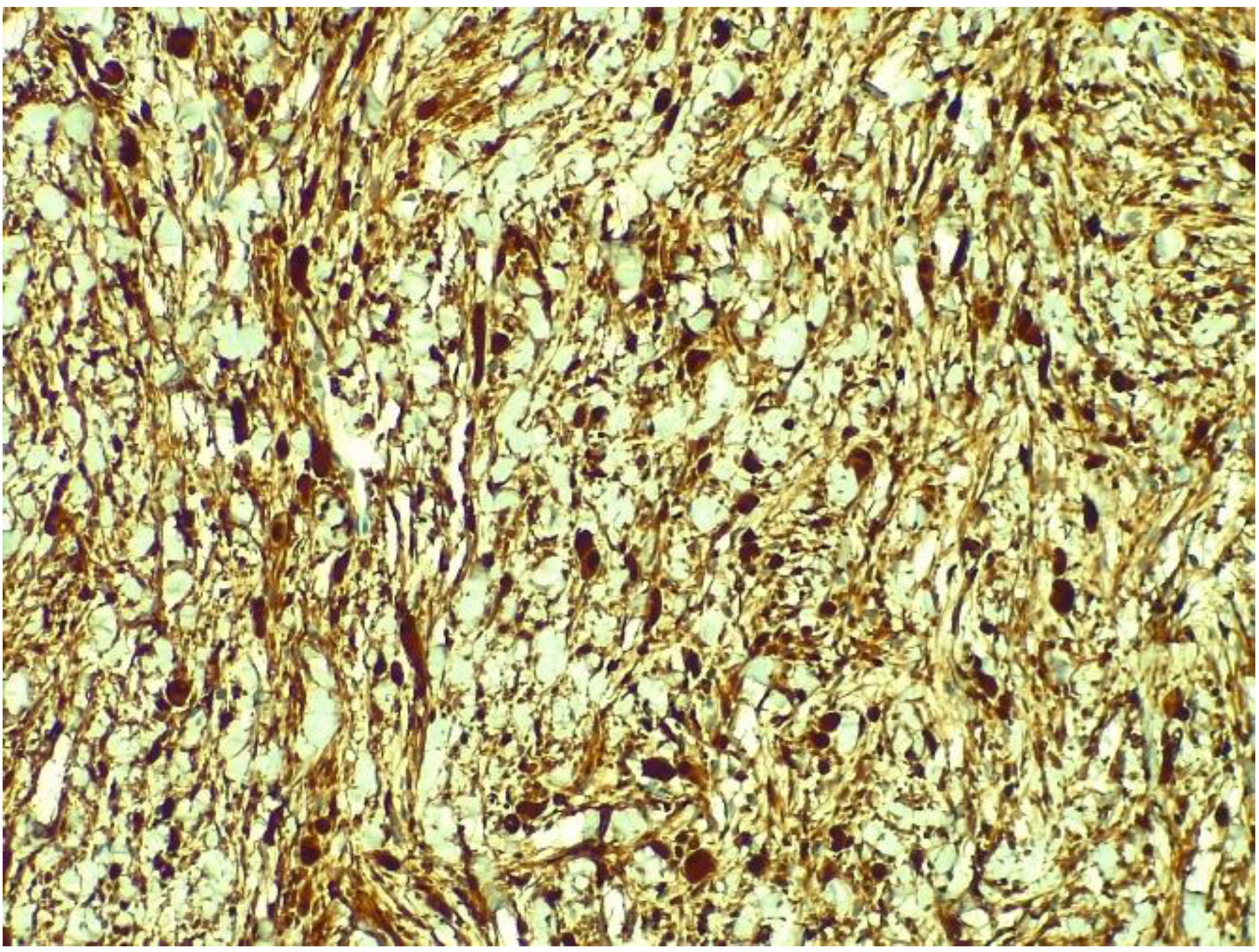 Medicina 58 01404 g006