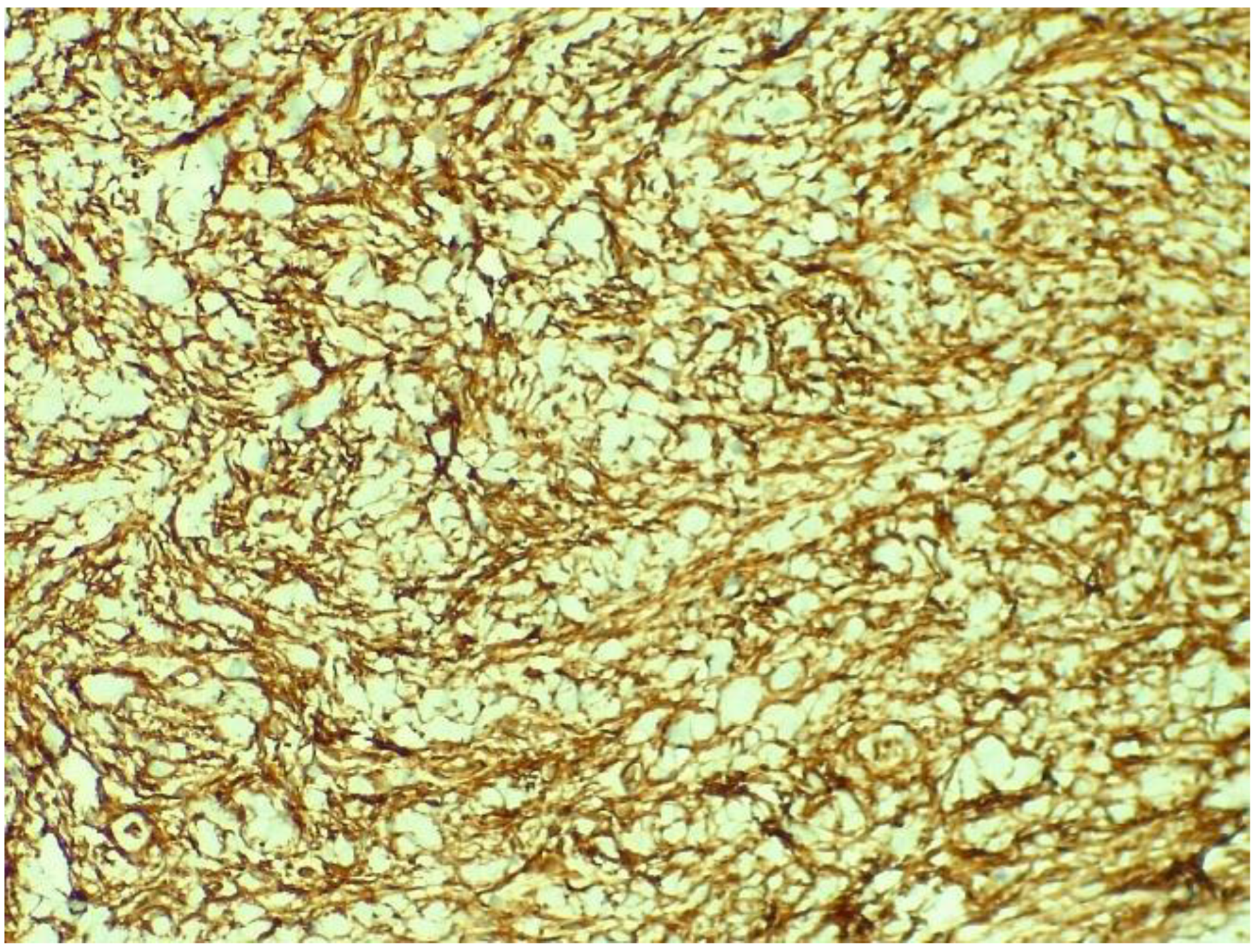 Medicina 58 01404 g007