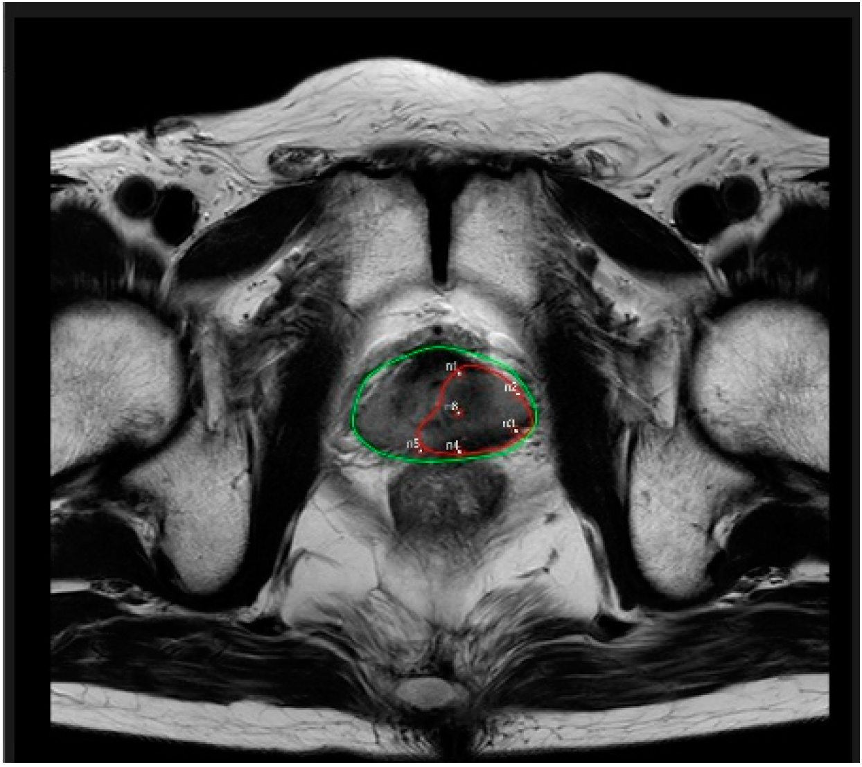 Medicina 58 01407 g002