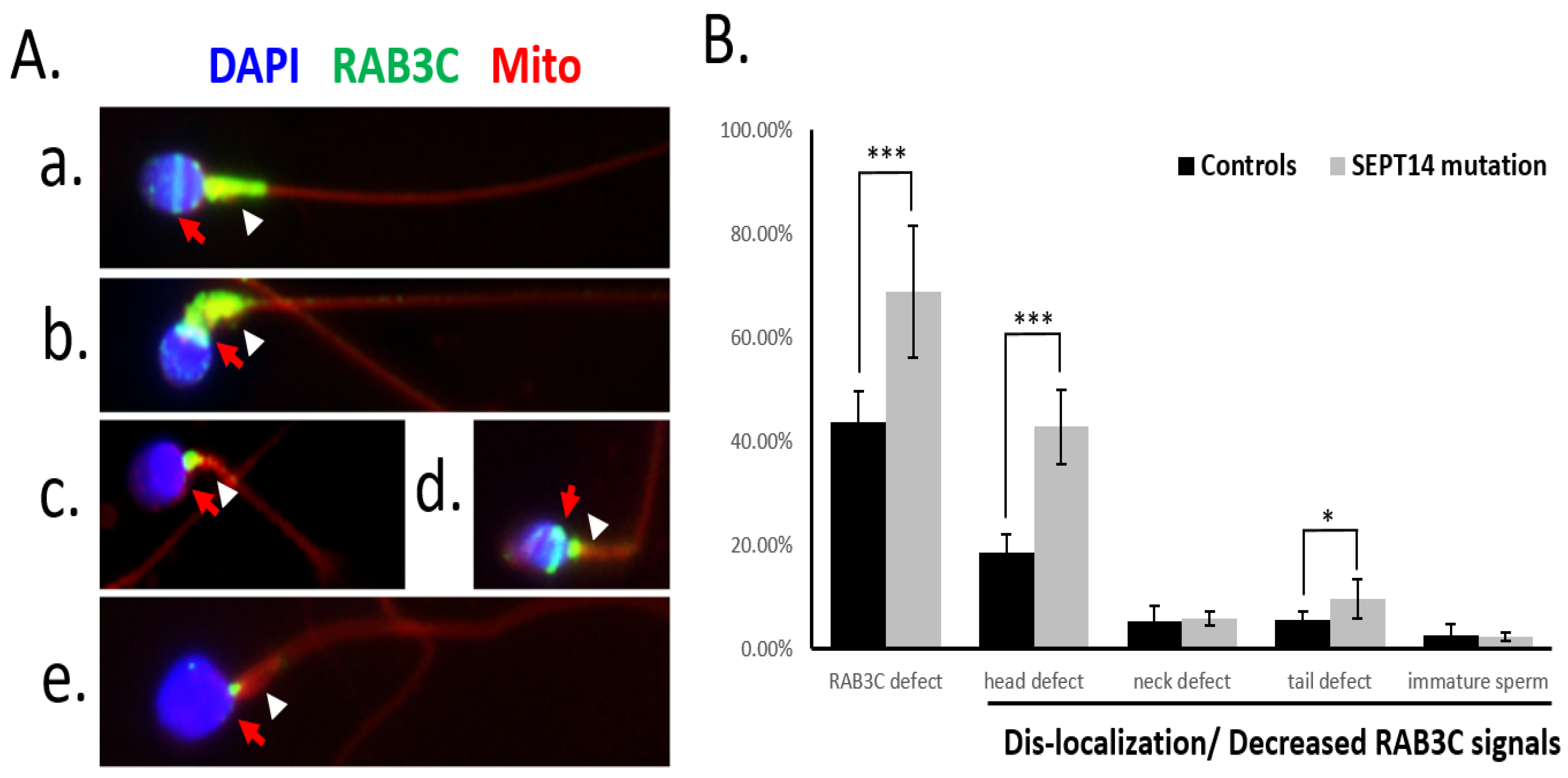 Medicina 58 01408 g002