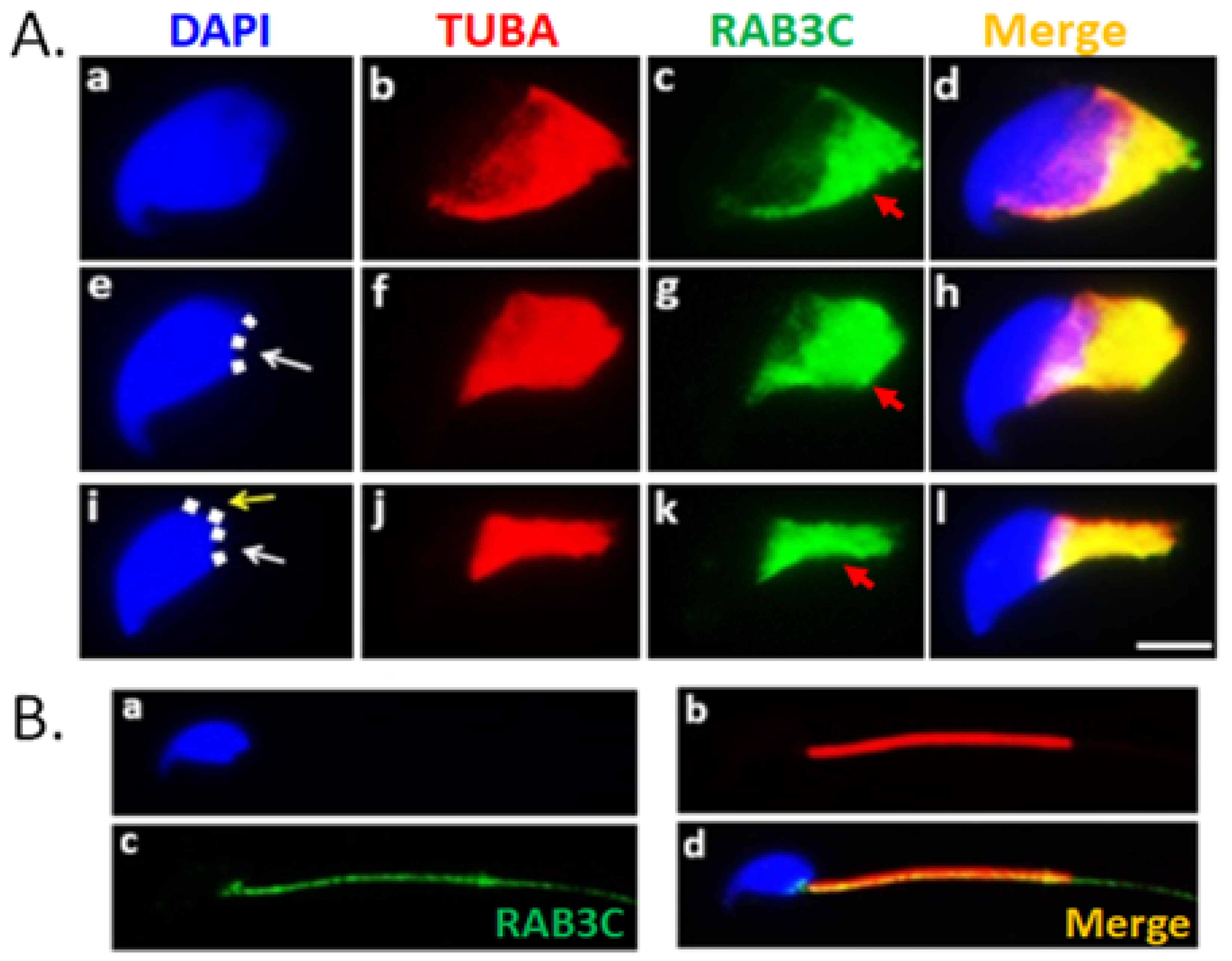Medicina 58 01408 g003