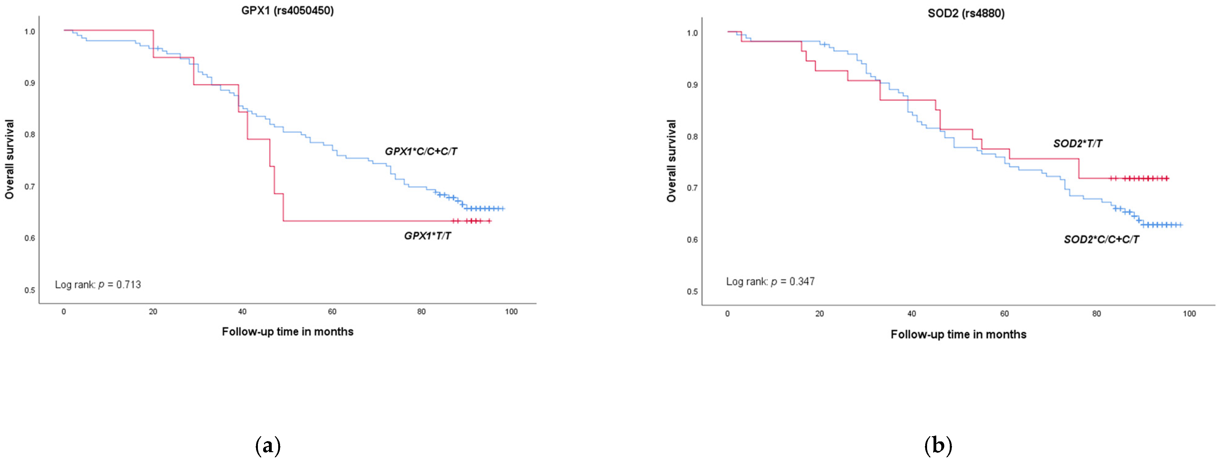 Medicina 58 01414 g001a Medicina 58 01414 g001a
