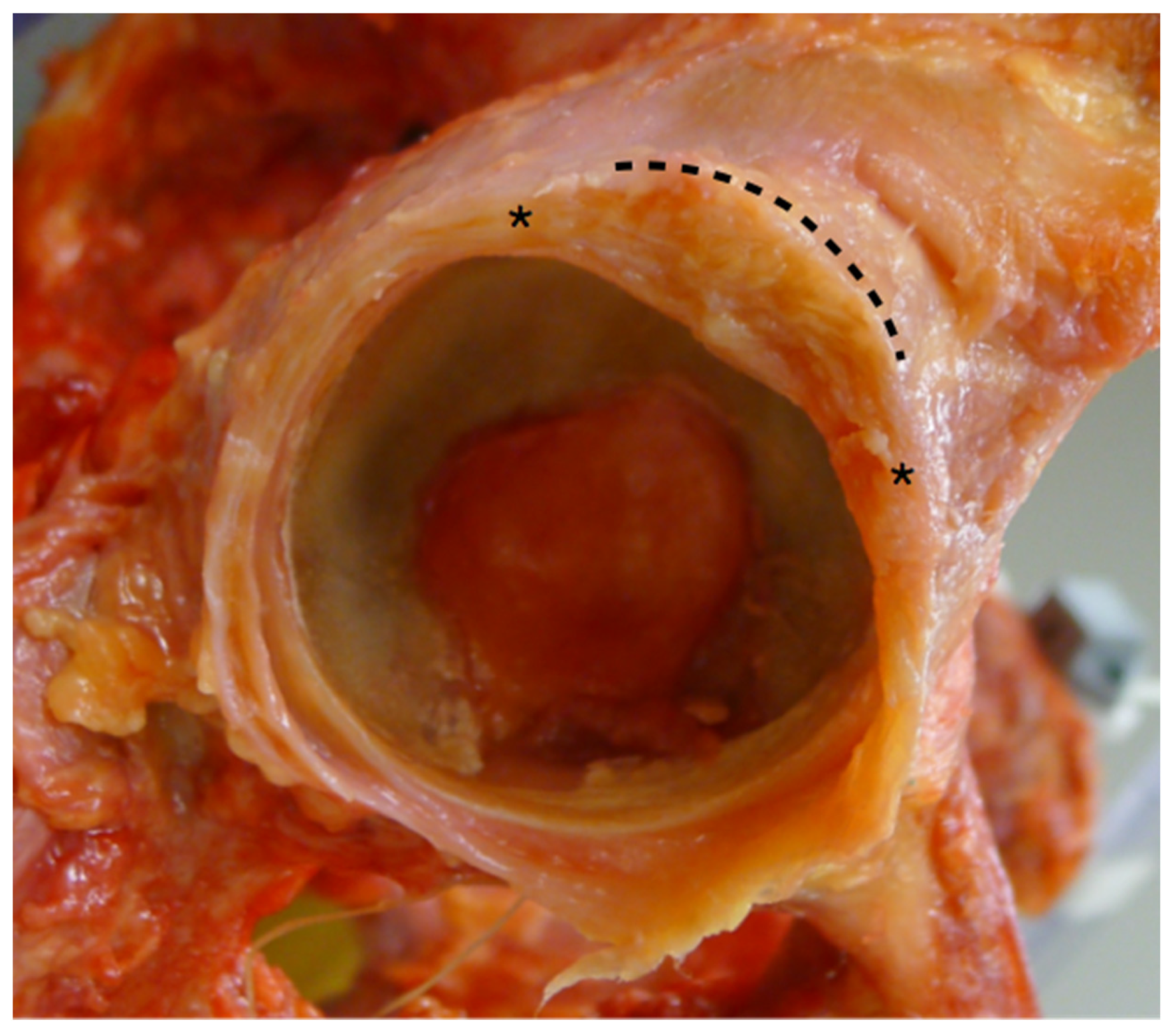 Medicina 58 01418 g007