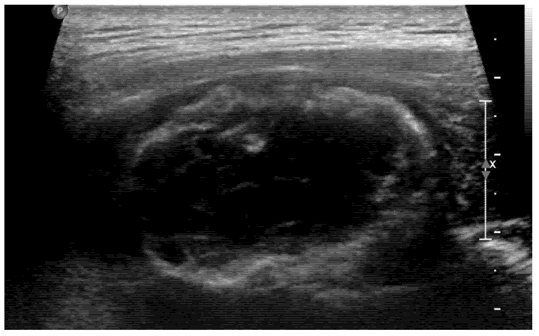 Medicina 58 01452 g004