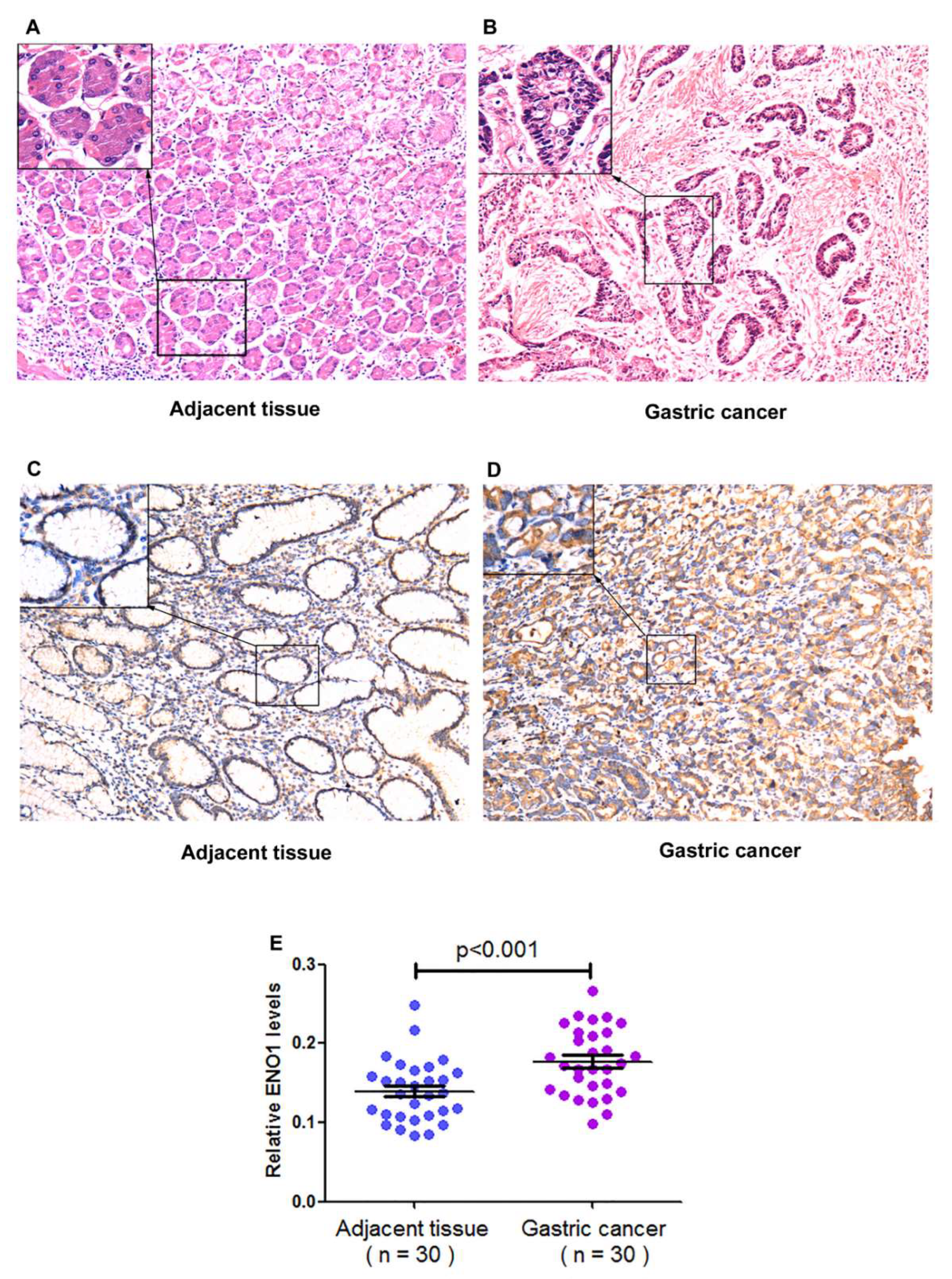 Medicina 58 01453 g001
