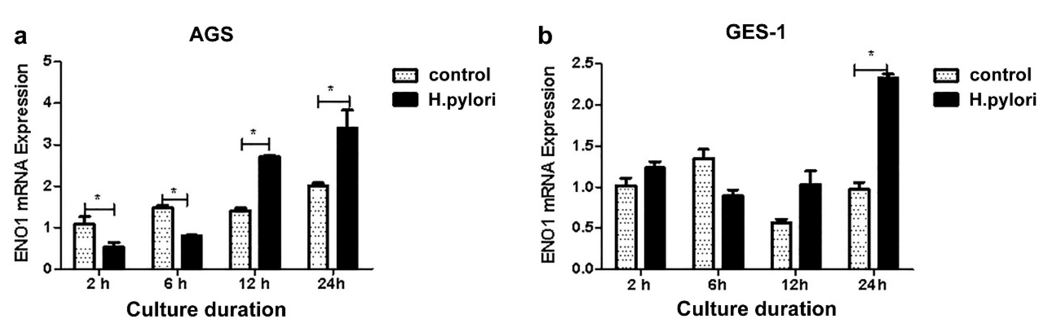 Medicina 58 01453 g003