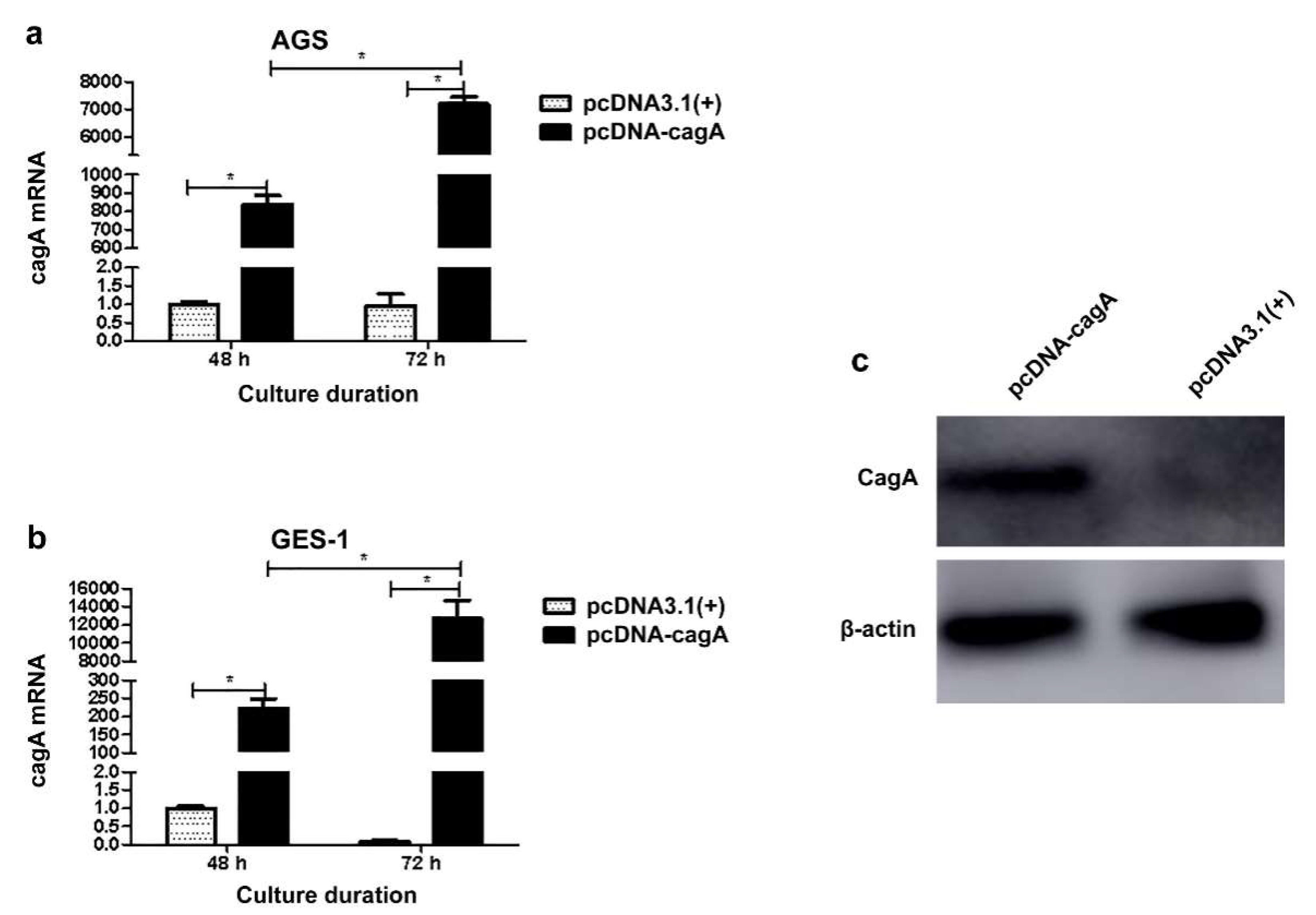 Medicina 58 01453 g004