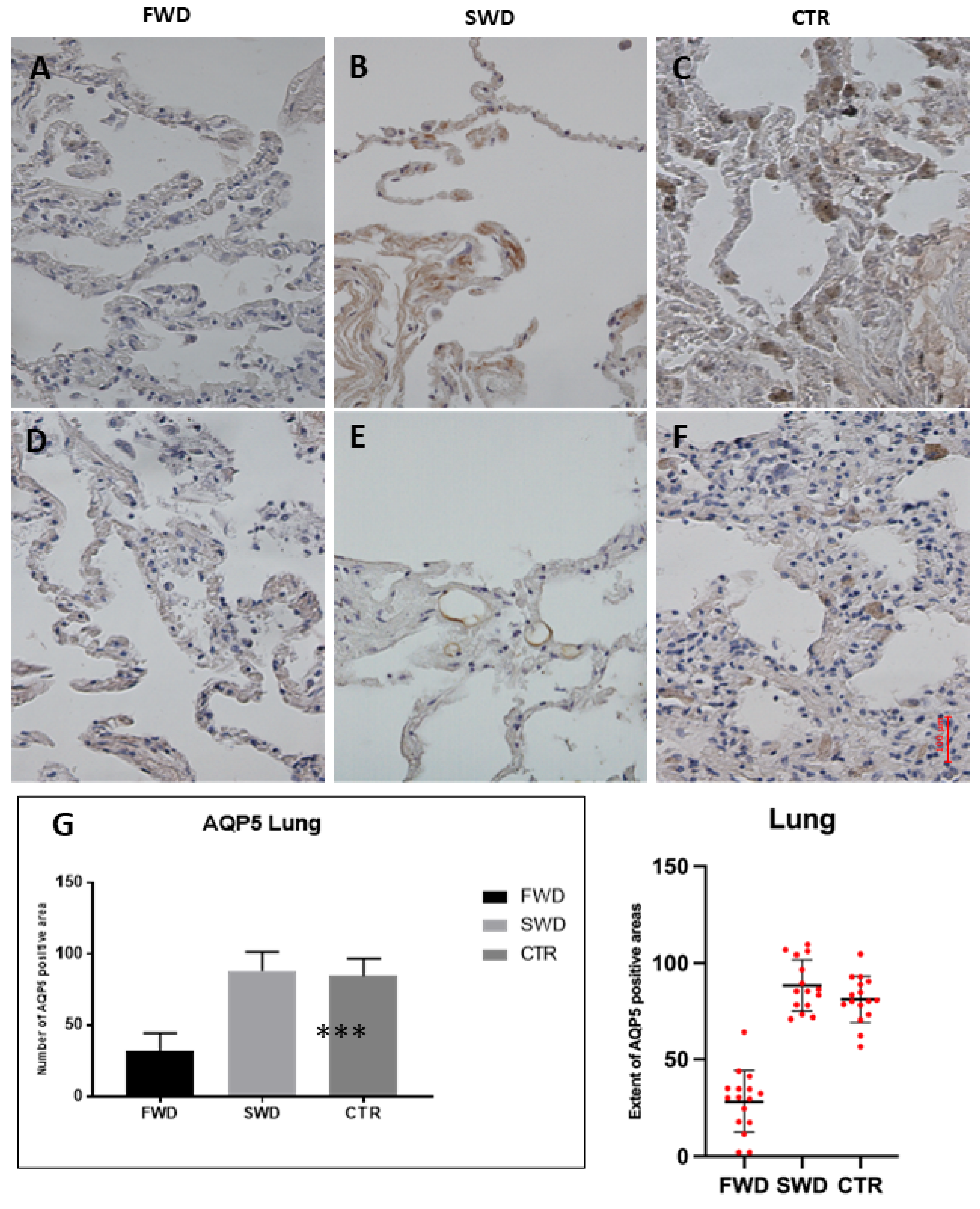 Medicina 58 01458 g001