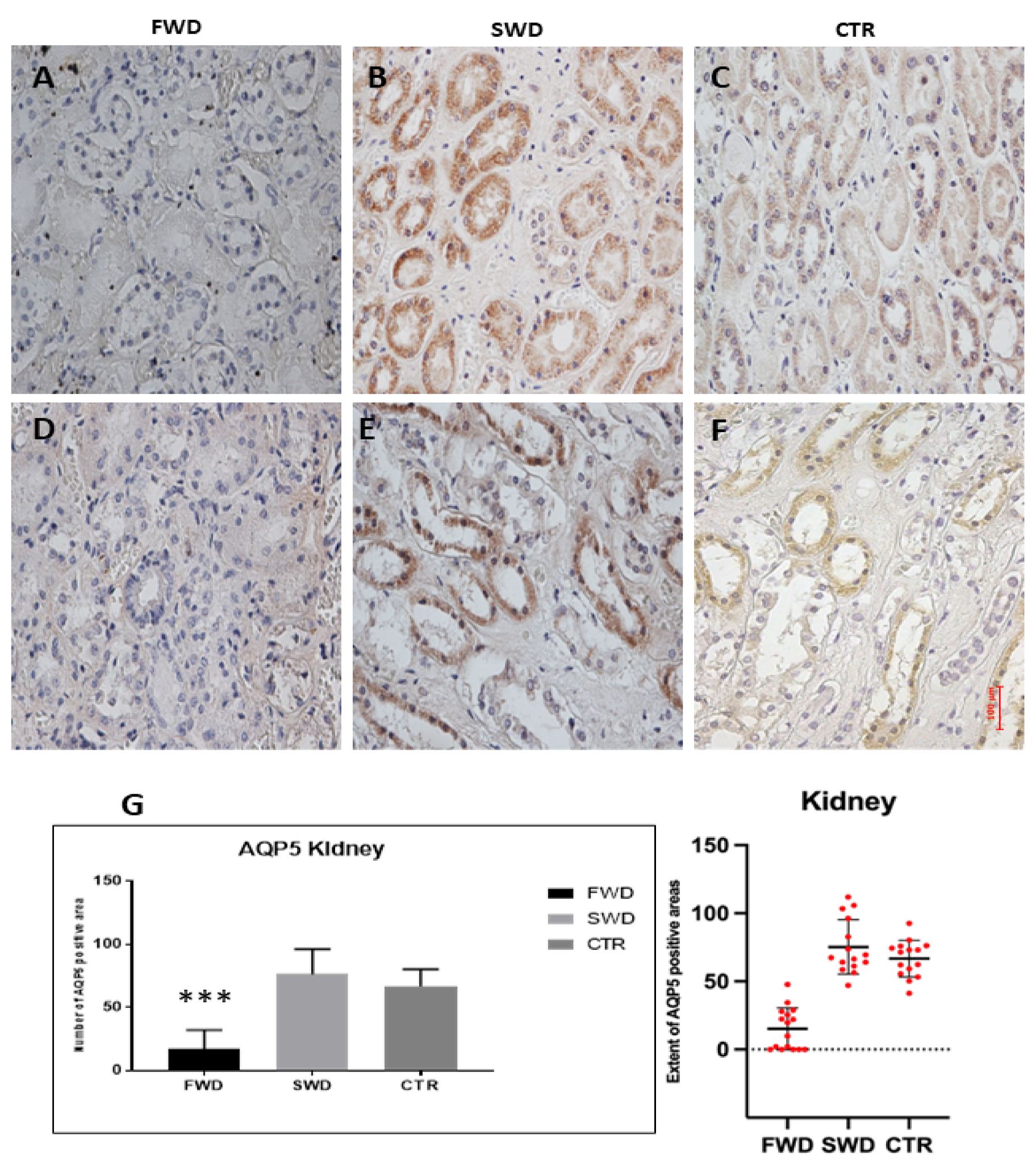 Medicina 58 01458 g002