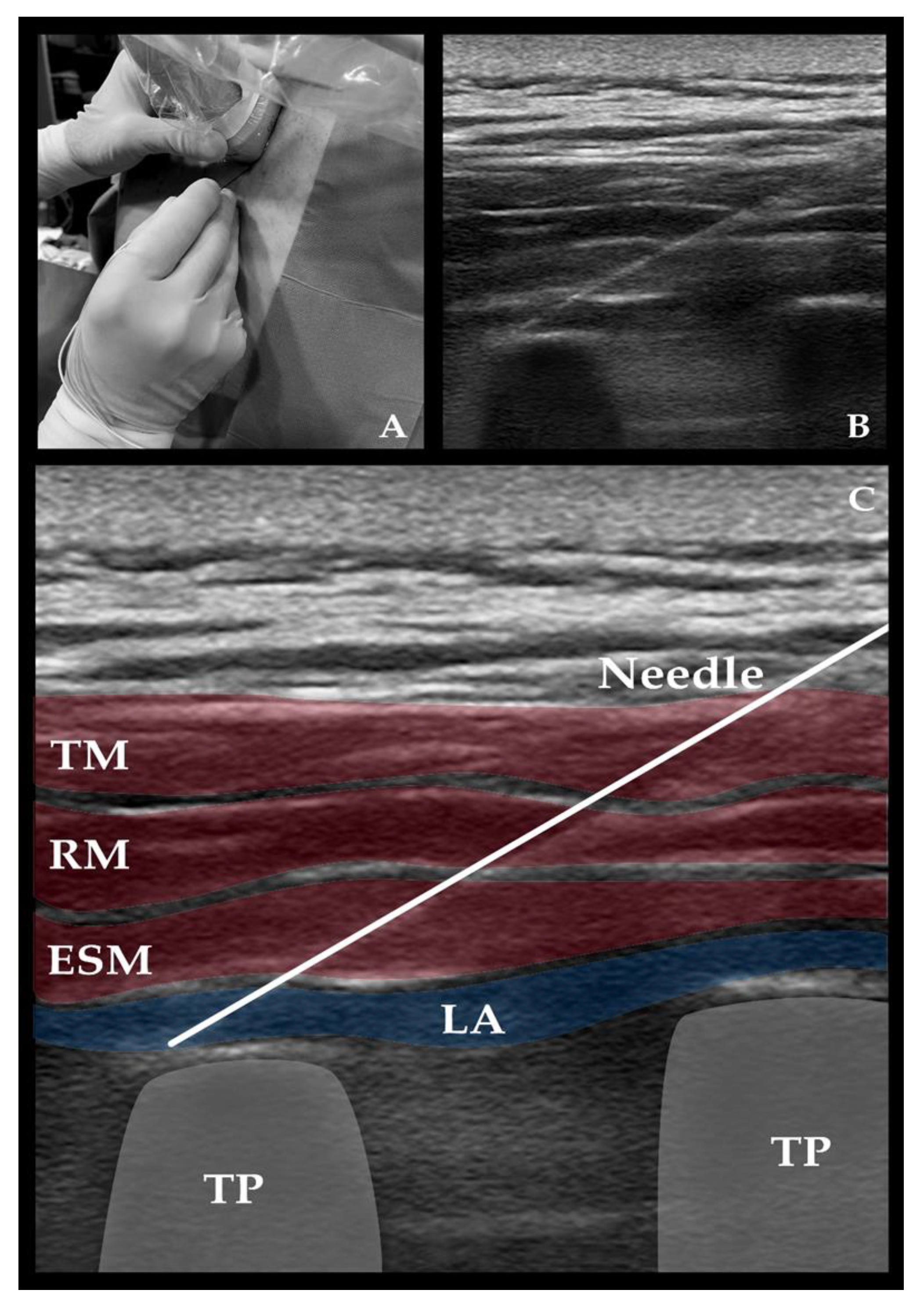 Medicina 58 01462 g002 Medicina 58 01462 g002