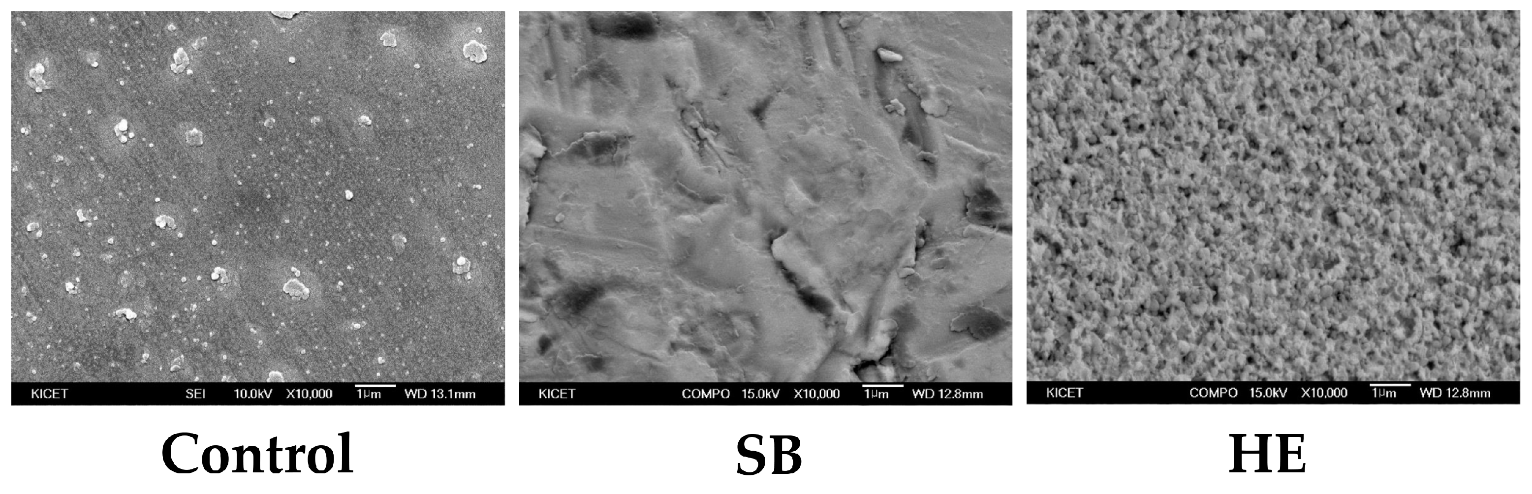 Medicina Free FullText Effect of 9 Hydrofluoric Acid Gel Hot