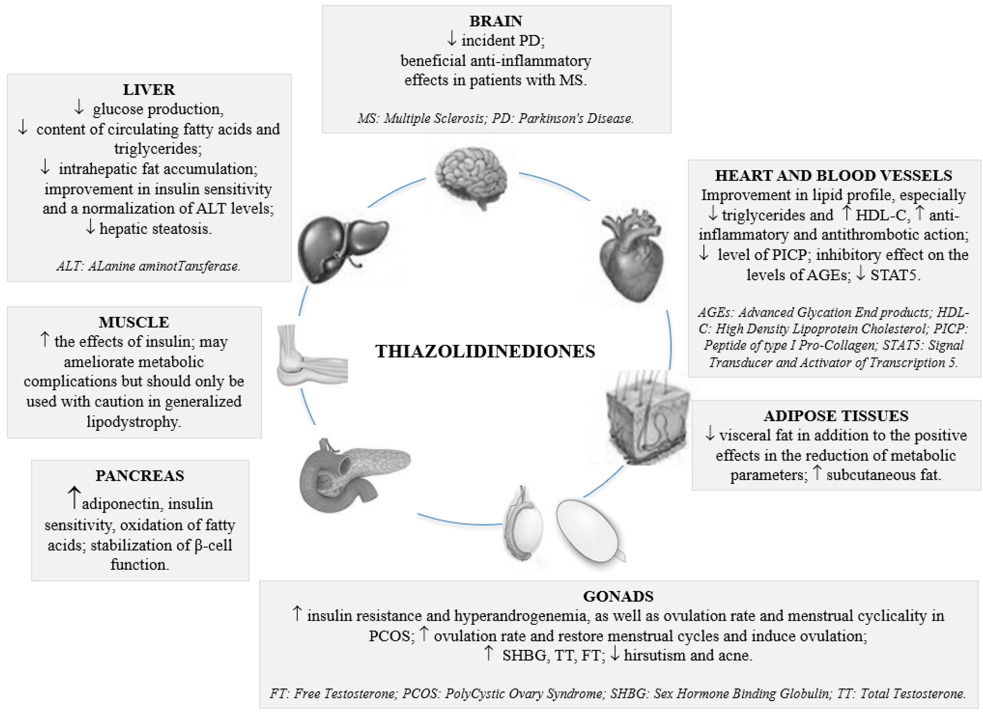 Medicina 58 01475 g001
