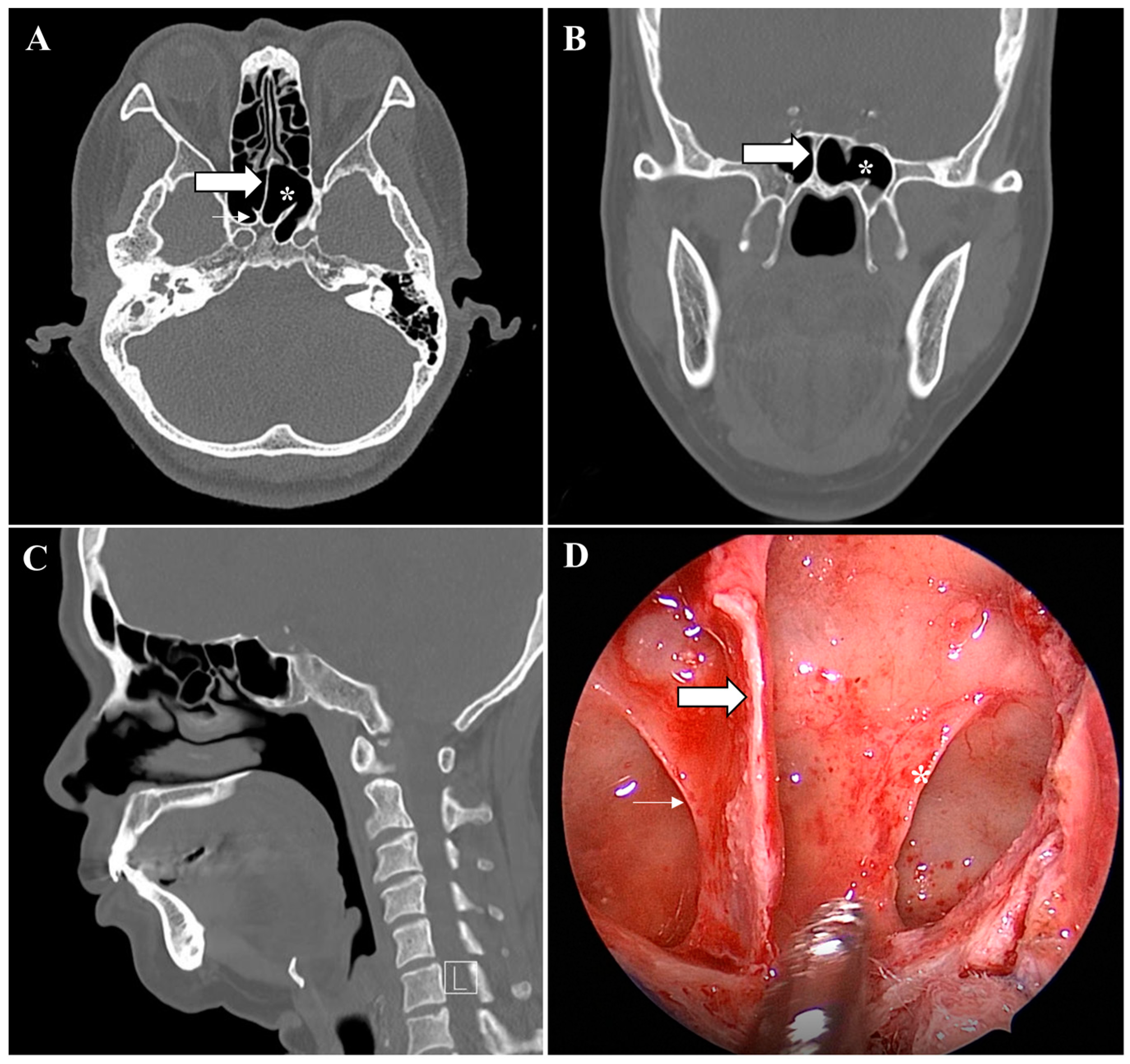 Medicina 58 01479 g004 Medicina 58 01479 g004