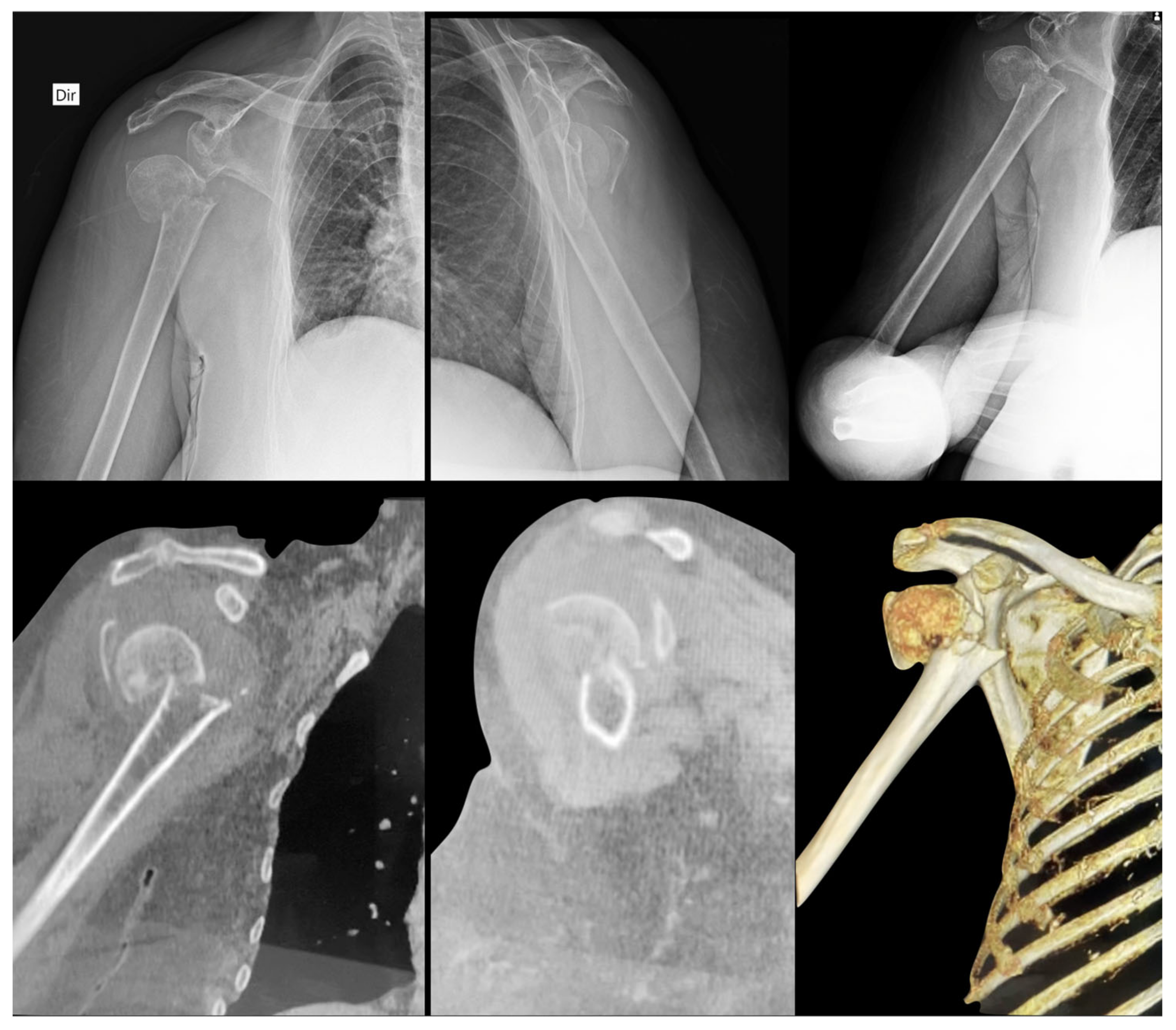 Medicina 58 01489 g003