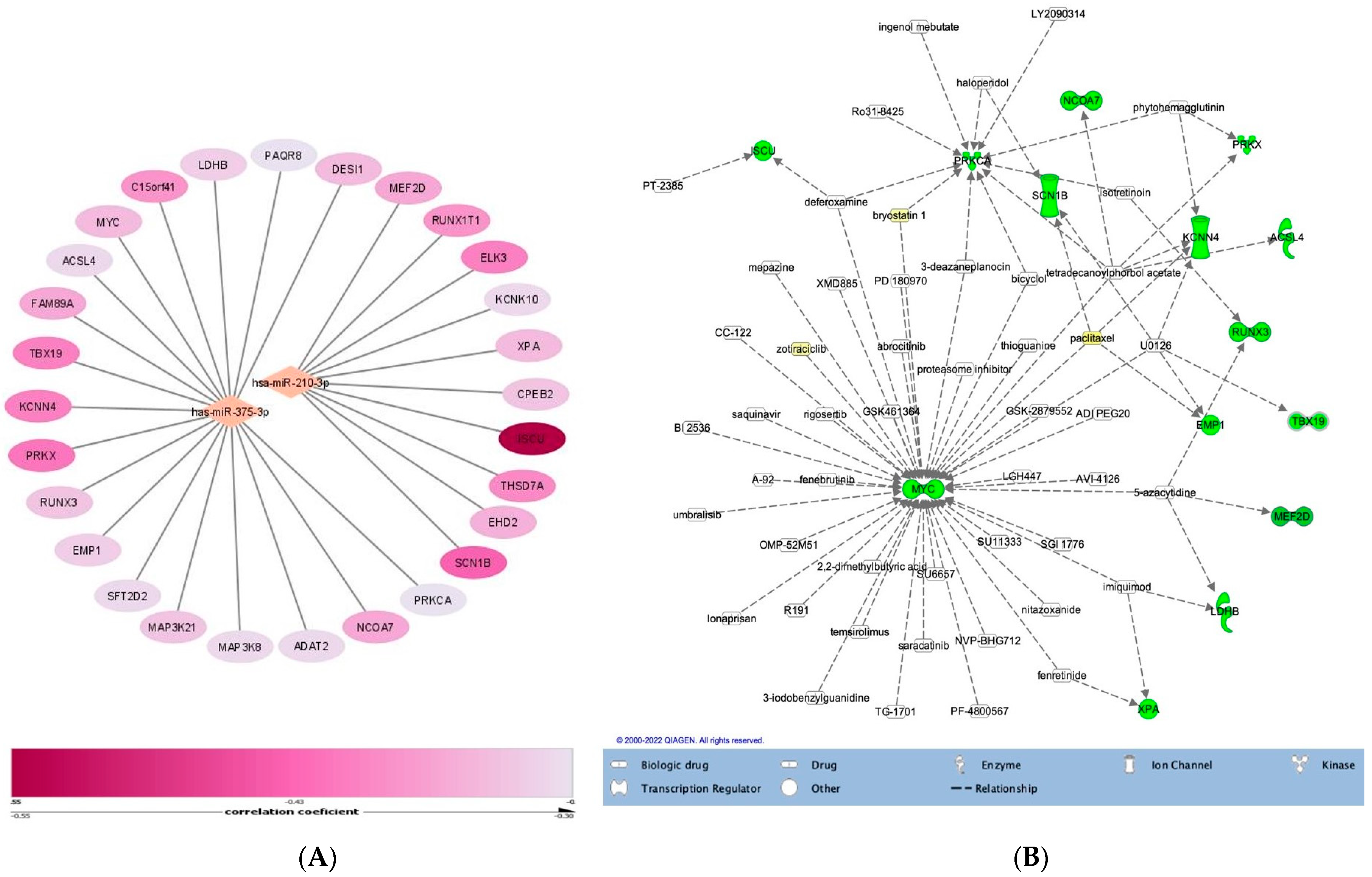 Medicina 58 01494 g004