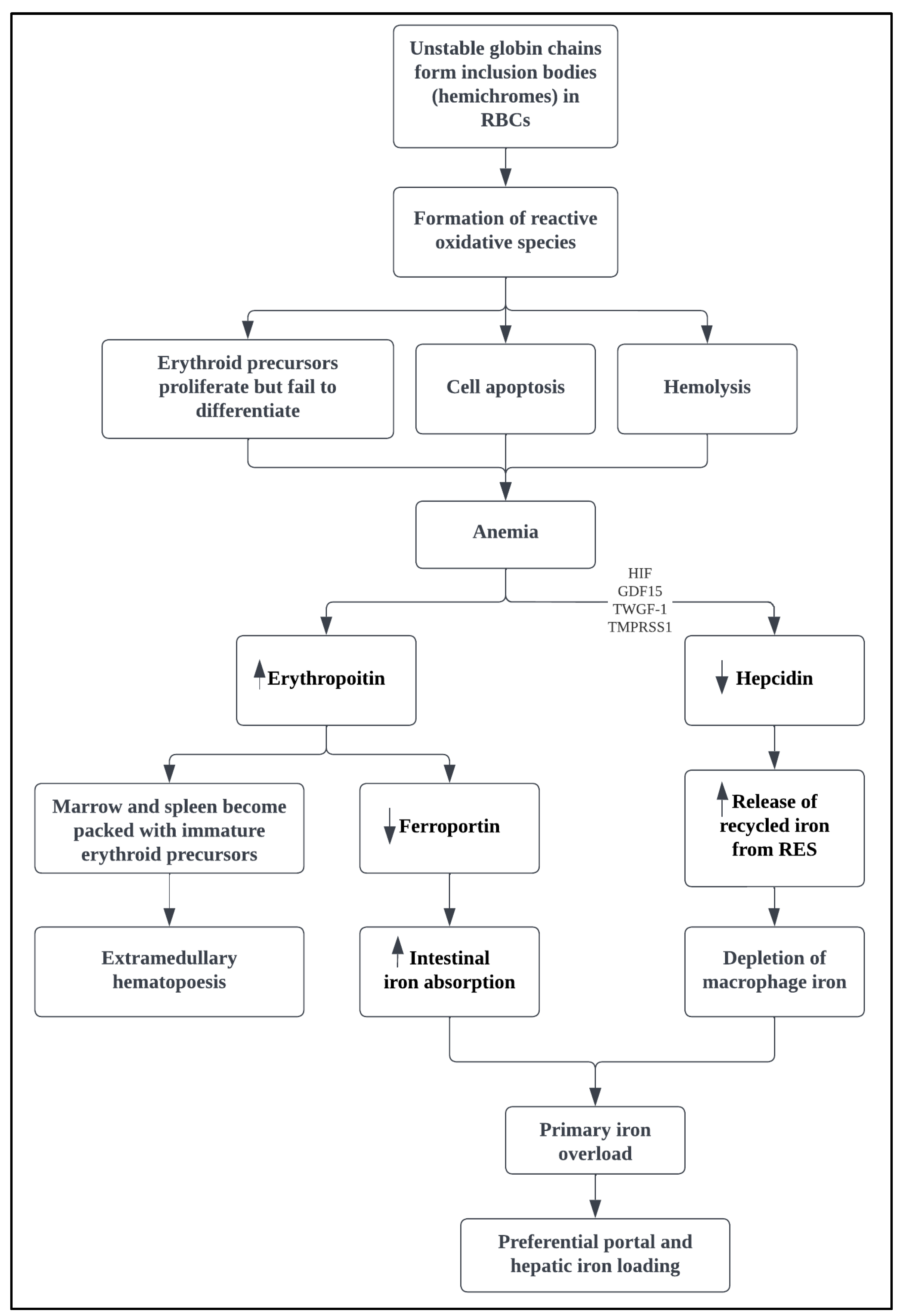 Medicina 58 01496 g001 Medicina 58 01496 g001