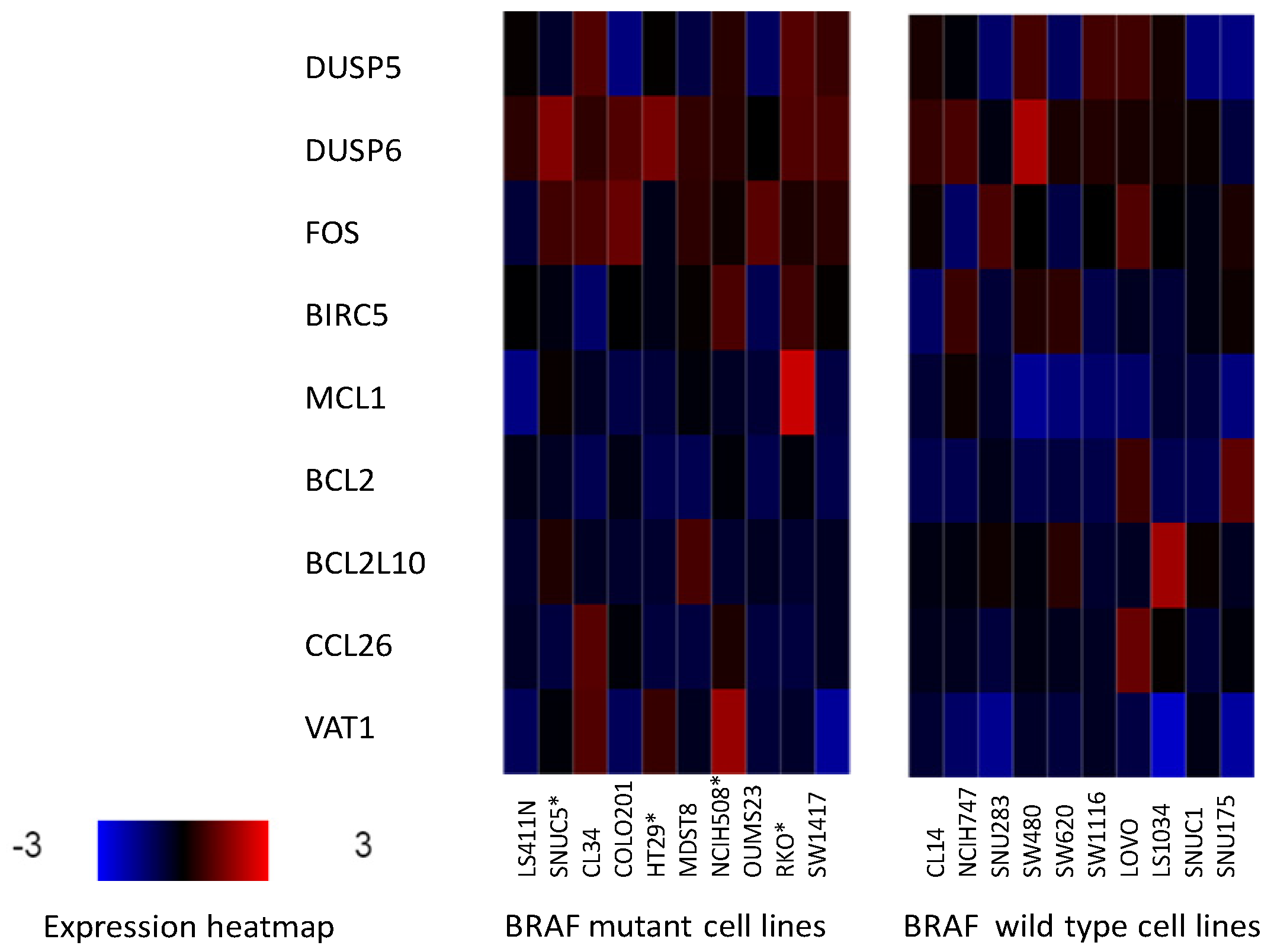 Medicina 58 01498 g001 Medicina 58 01498 g001