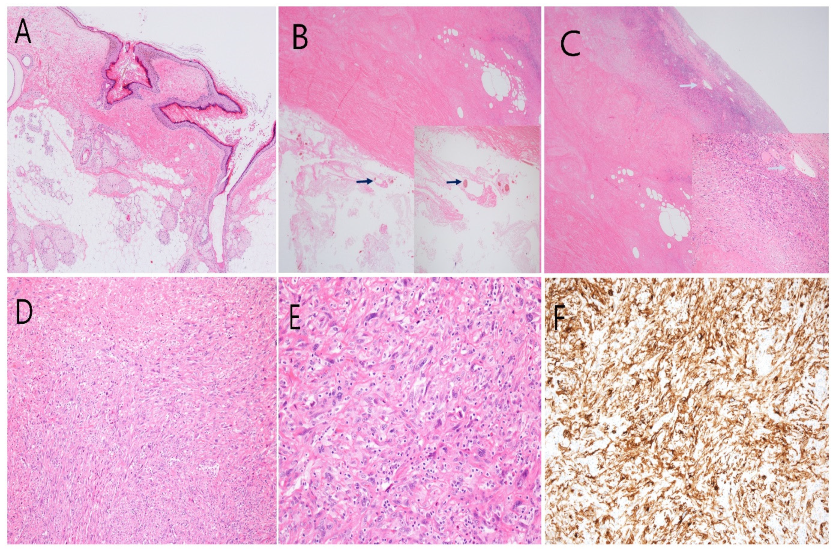 Medicina 58 01501 g002