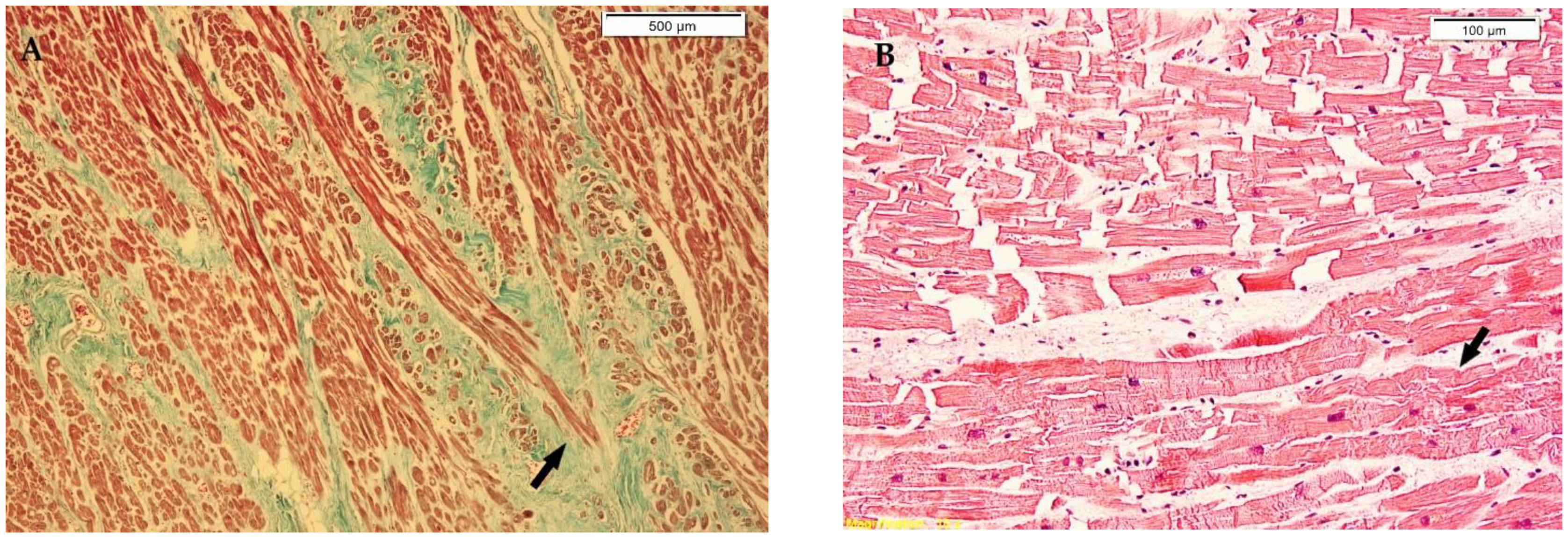 Medicina 58 01507 g001a Medicina 58 01507 g001a