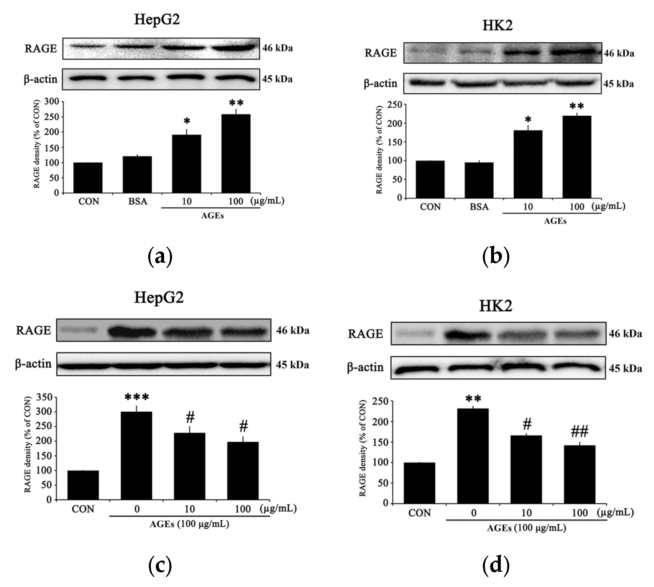 Medicina 58 01519 g002