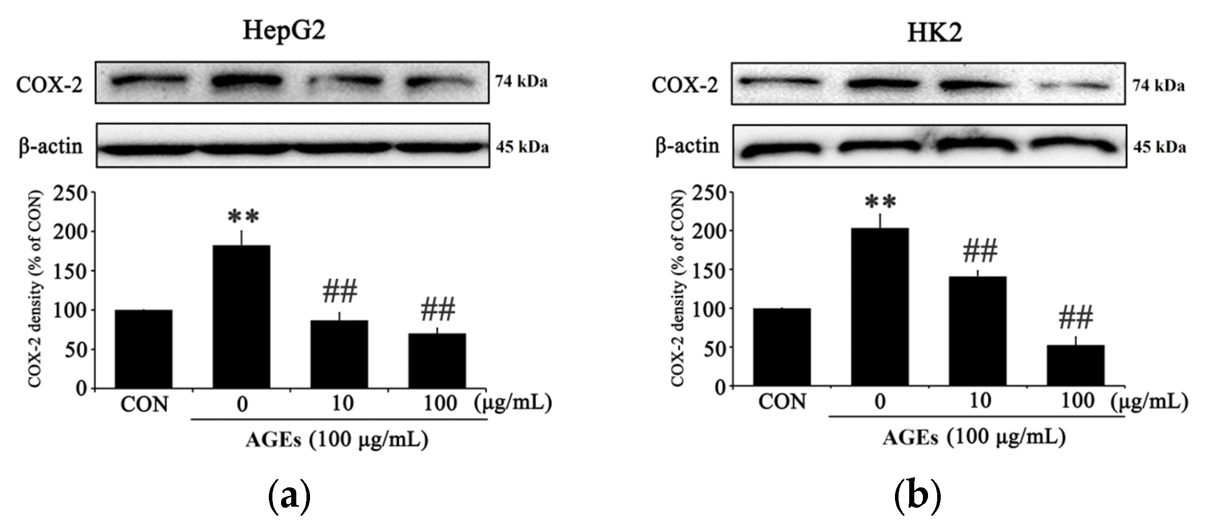Medicina 58 01519 g003a